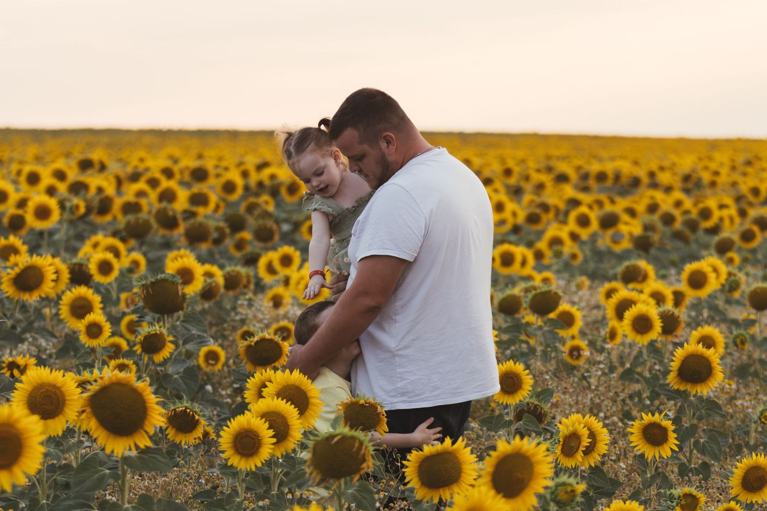 A couple shares a tender moment in a vibrant sunflower field at sunset, man holding woman lovingly.