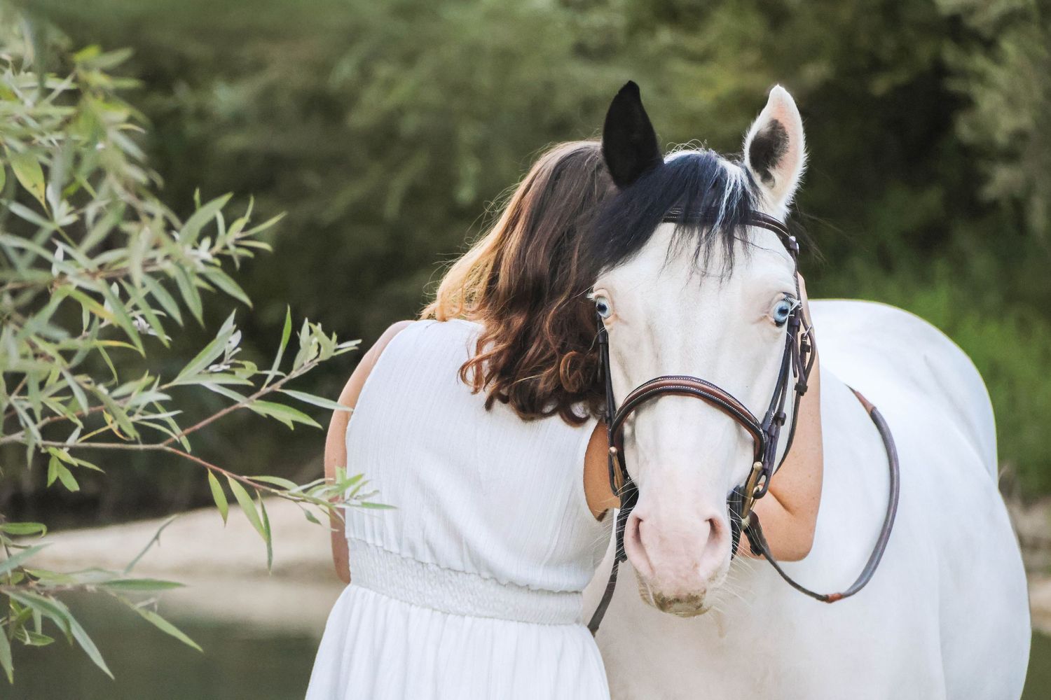 Séance animaux lifestyle — femme en robe blanche enlacant tendrement son cheval blanc près des arbres, photographe Rethel Ardennes Aisne.