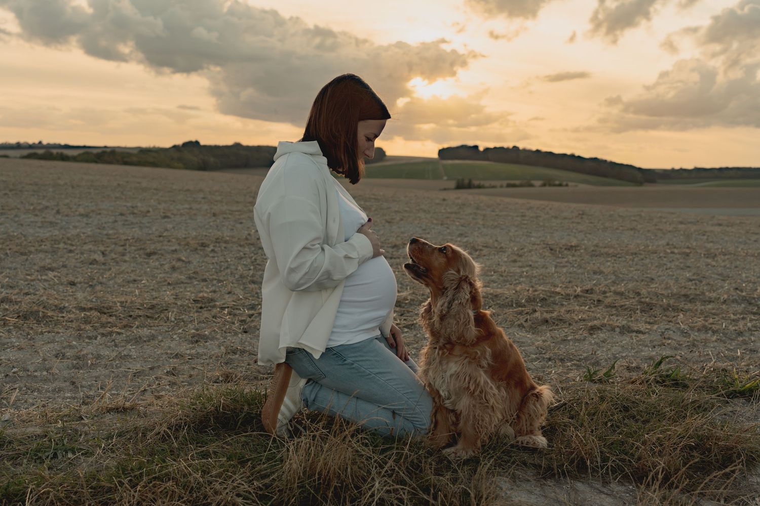 Pregnant woman in white hoodie sitting in field at sunset with golden retriever dog looking up at her.