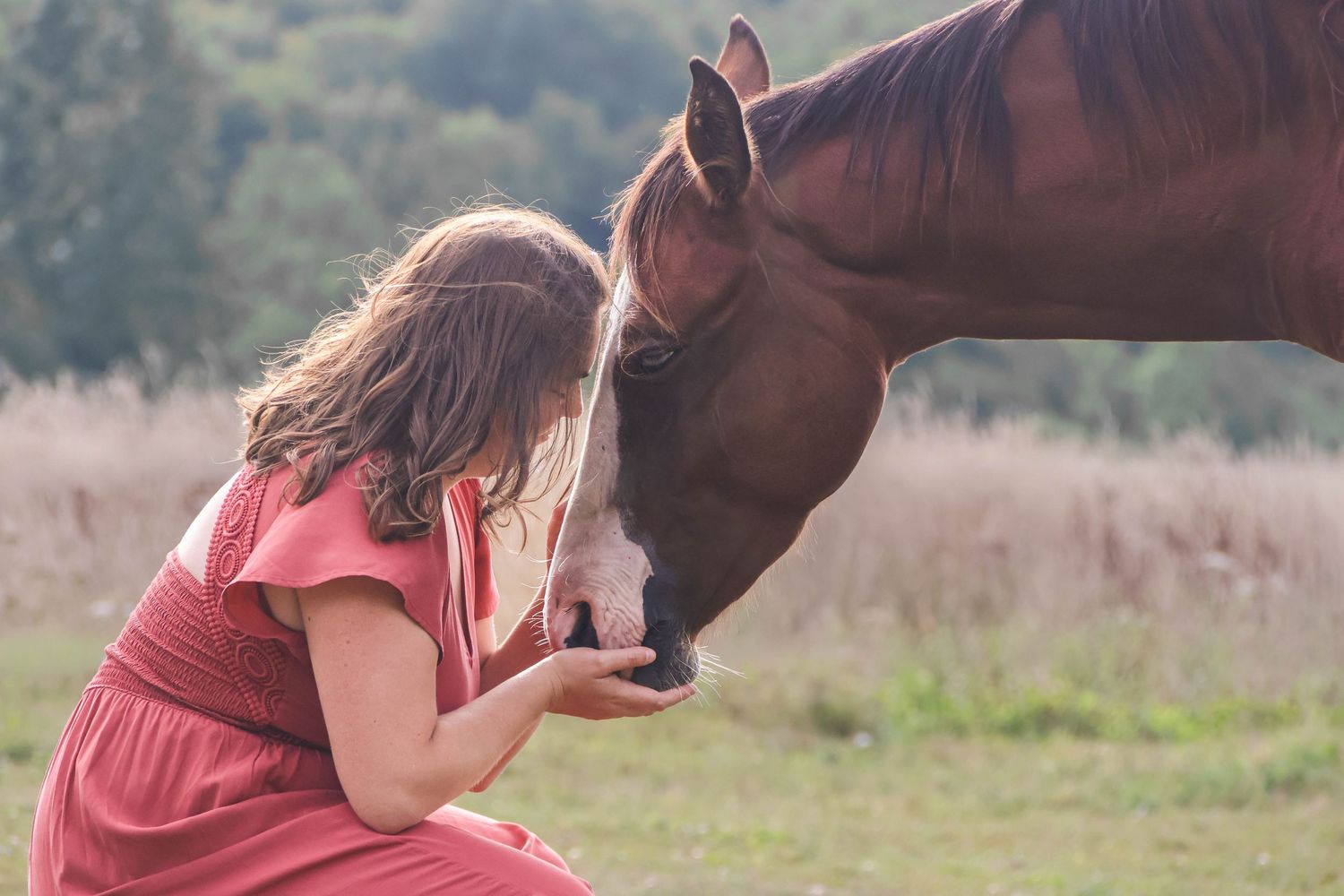 Séance animaux lifestyle — jeune fille en robe rose donnant à manger à un cheval alezan dans un champ, photographe Sedan Ardennes.