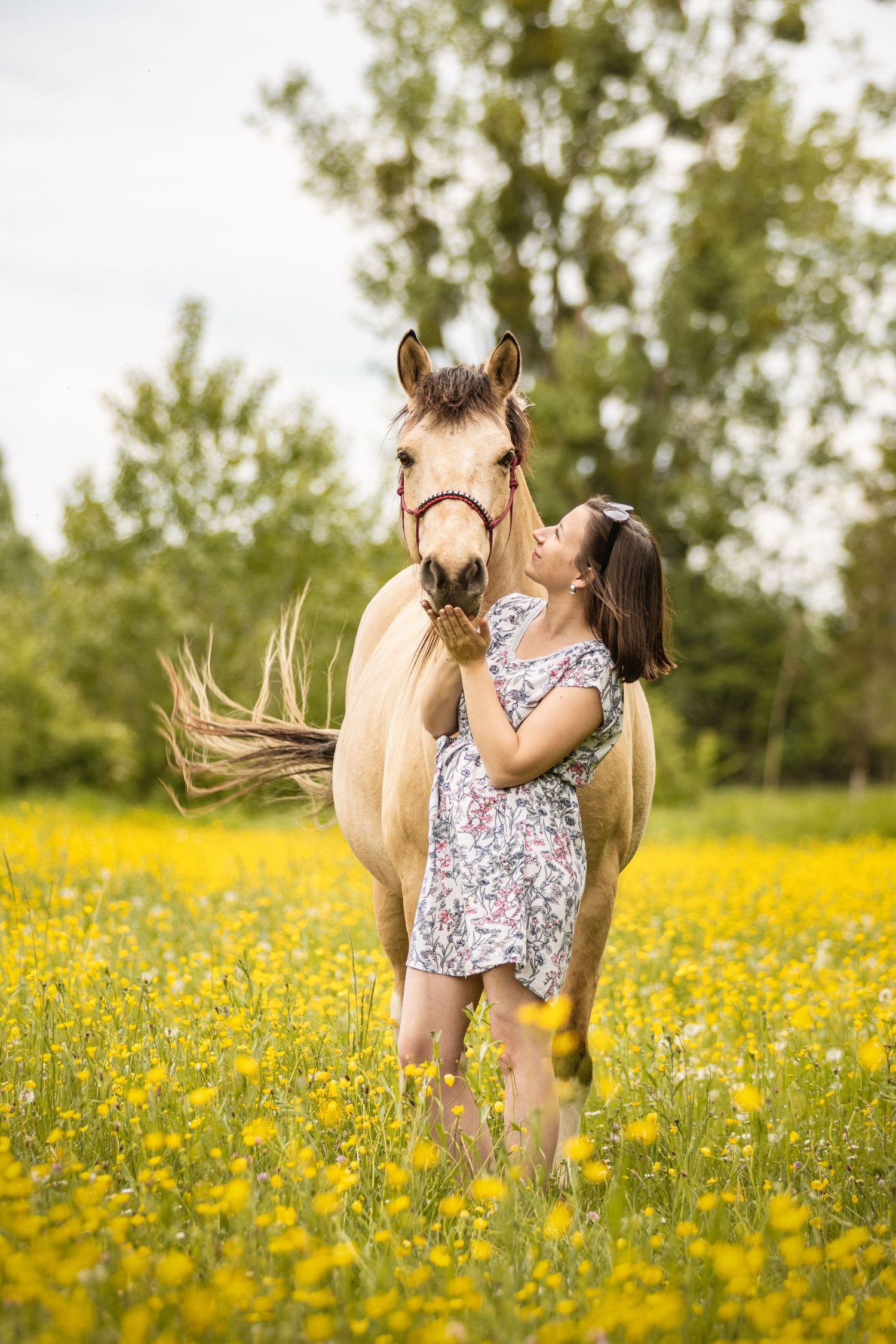 Young girl in floral dress feeding a palomino horse in a sunny yellow wildflower meadow.