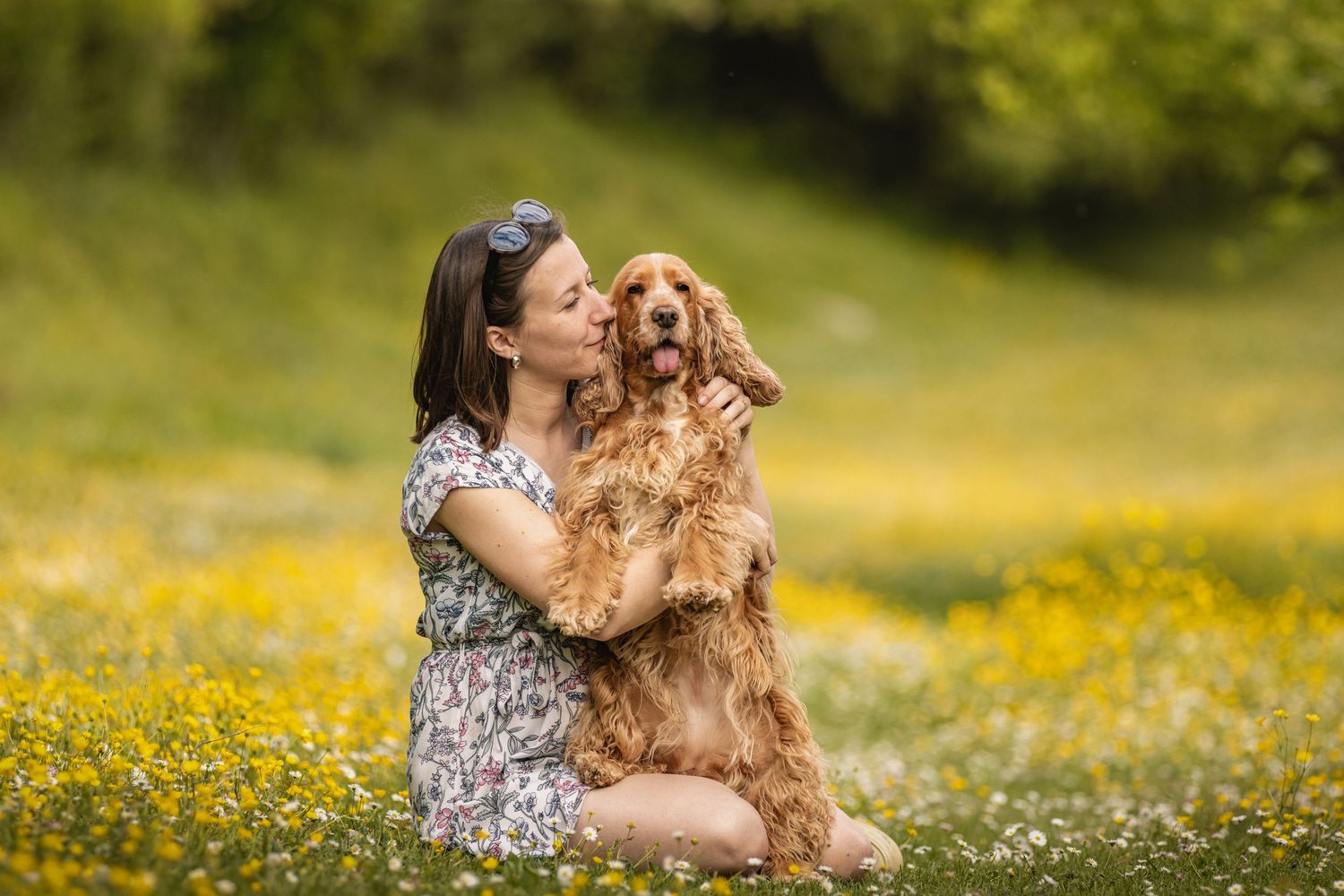 Woman in floral dress kissing her golden Cocker Spaniel dog while sitting in a sunny wildflower meadow.