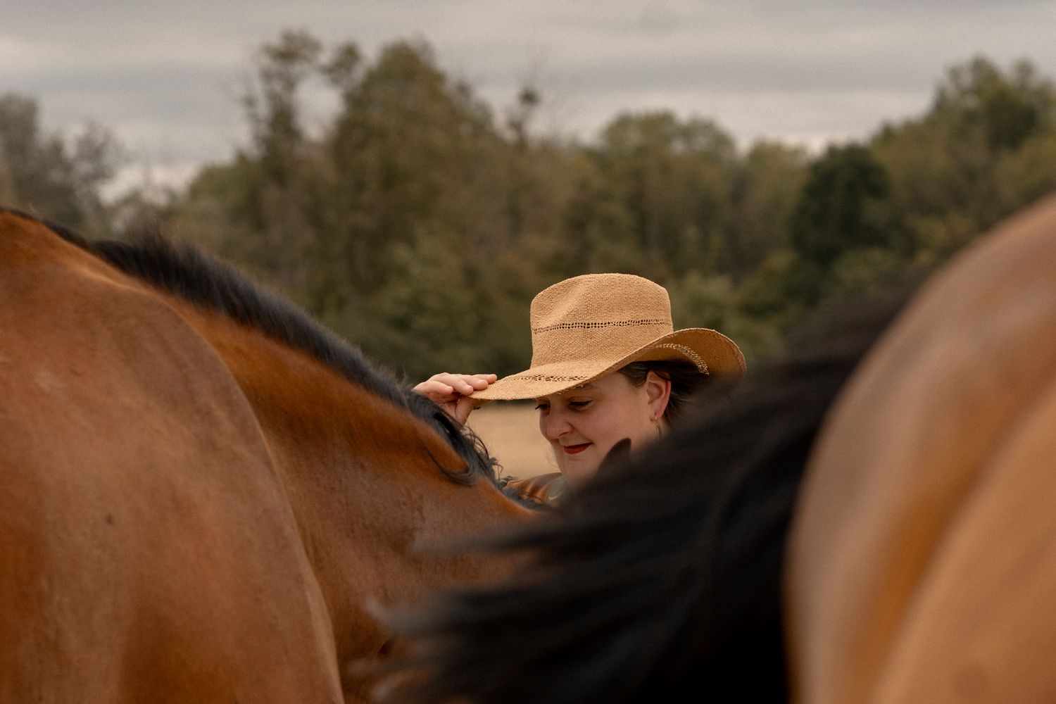 Woman in straw cowboy hat standing among brown horses outdoors near trees.
