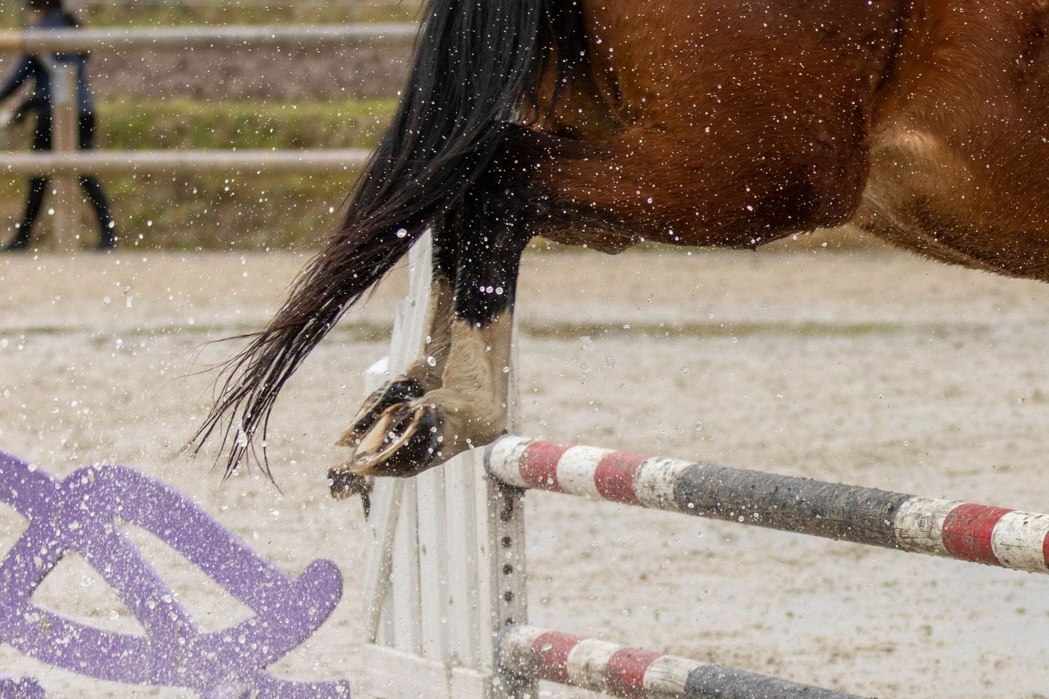 Concours de saut d'obstacle