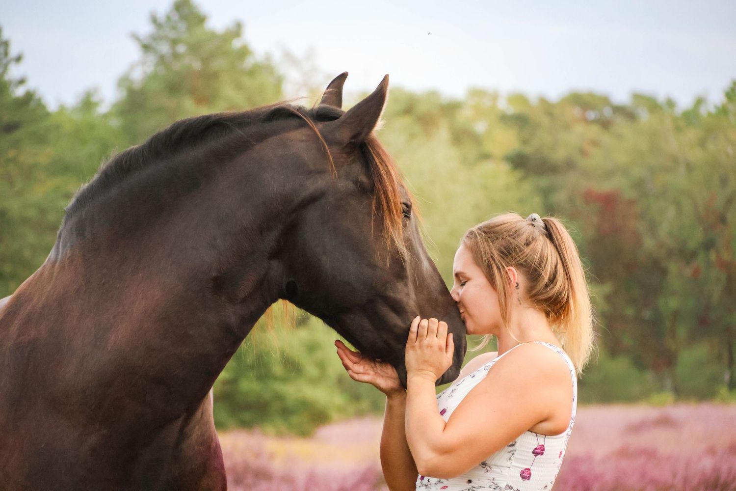 Séance lifestyle — jeune femme en robe fleurie face à son cheval brun dans les bruyères, photographe Aisne Guignicourt.