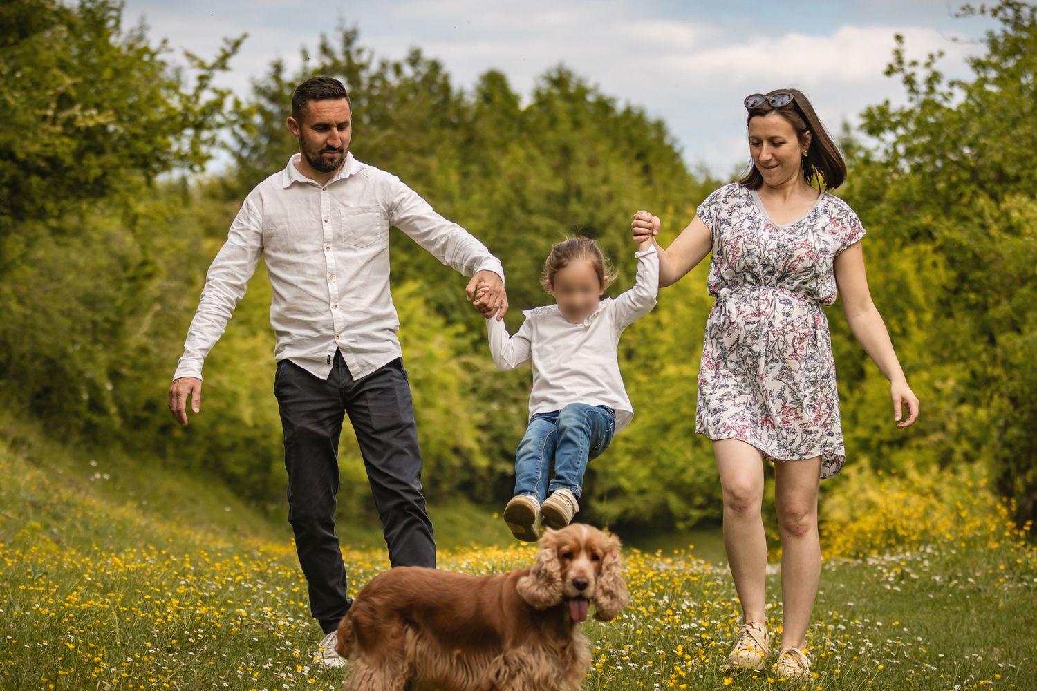 Family with young child and golden cocker spaniel walking in a sunny green meadow with wildflowers.