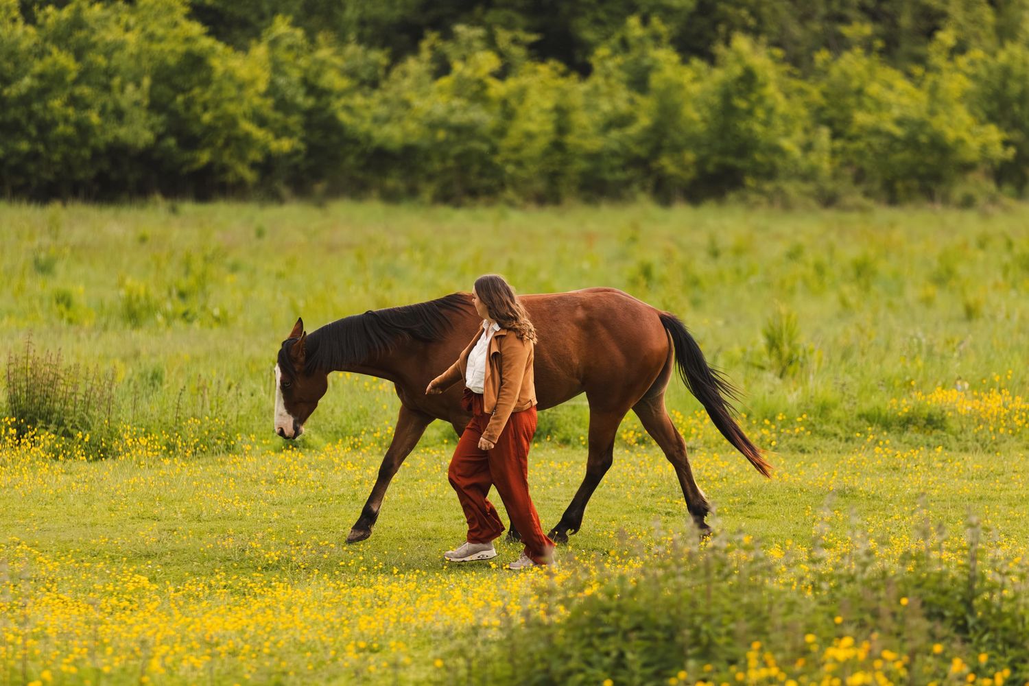 Woman in red dress walking with a brown horse through a sunny meadow filled with yellow wildflowers.