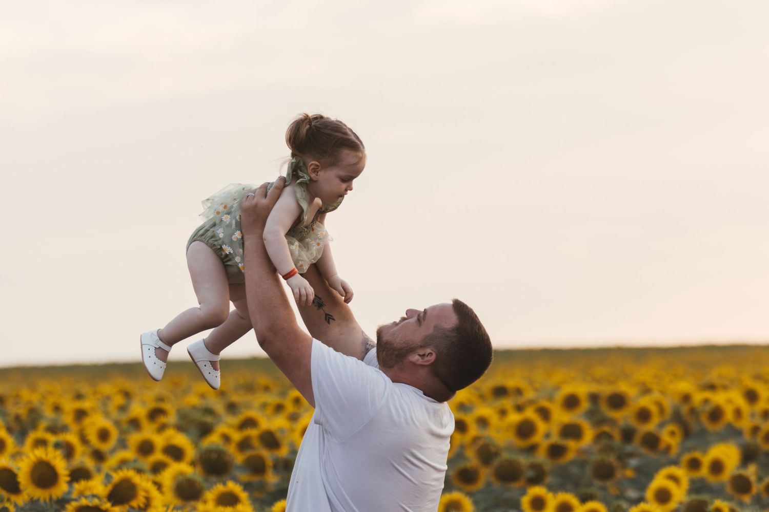 Father joyfully lifting his little daughter in a sunflower field under a cloudy sky.