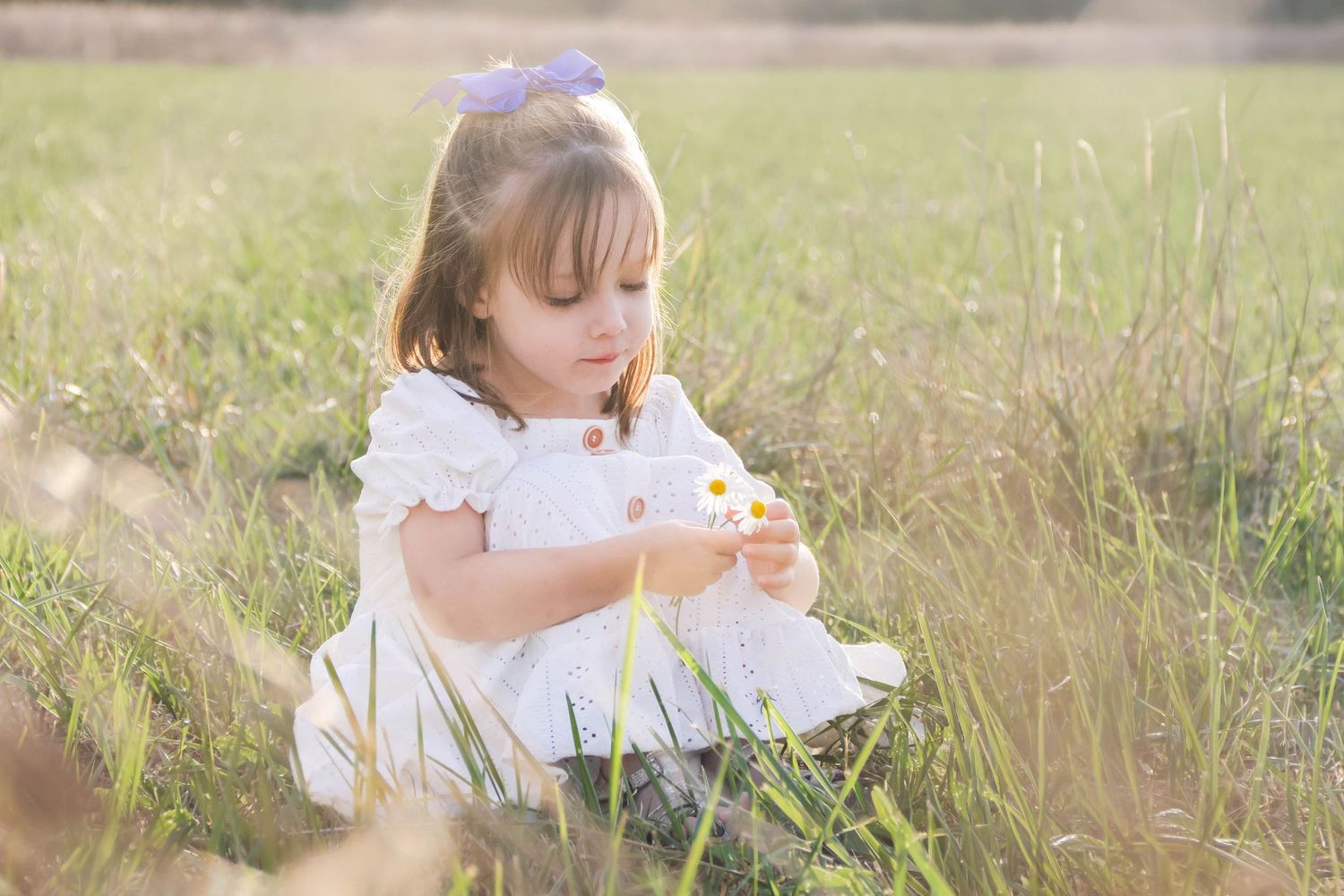 Séance famille lifestyle — petite fille en robe blanche assise dans un champ doré observant une marguerite, photographe Sedan Ardennes.