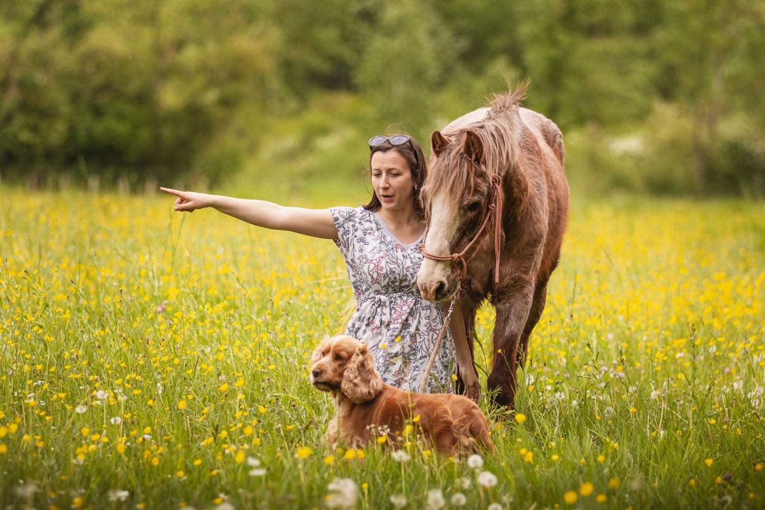 Woman in floral dress pointing in a yellow wildflower meadow with a brown horse and golden cocker spaniel.
