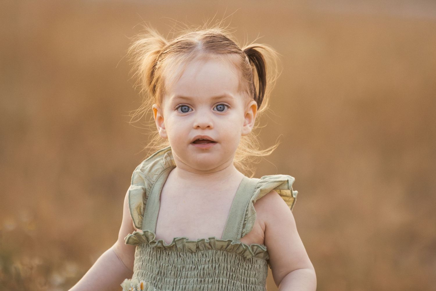 Adorable toddler girl with pigtails wearing a green romper standing in a golden field during sunset.
