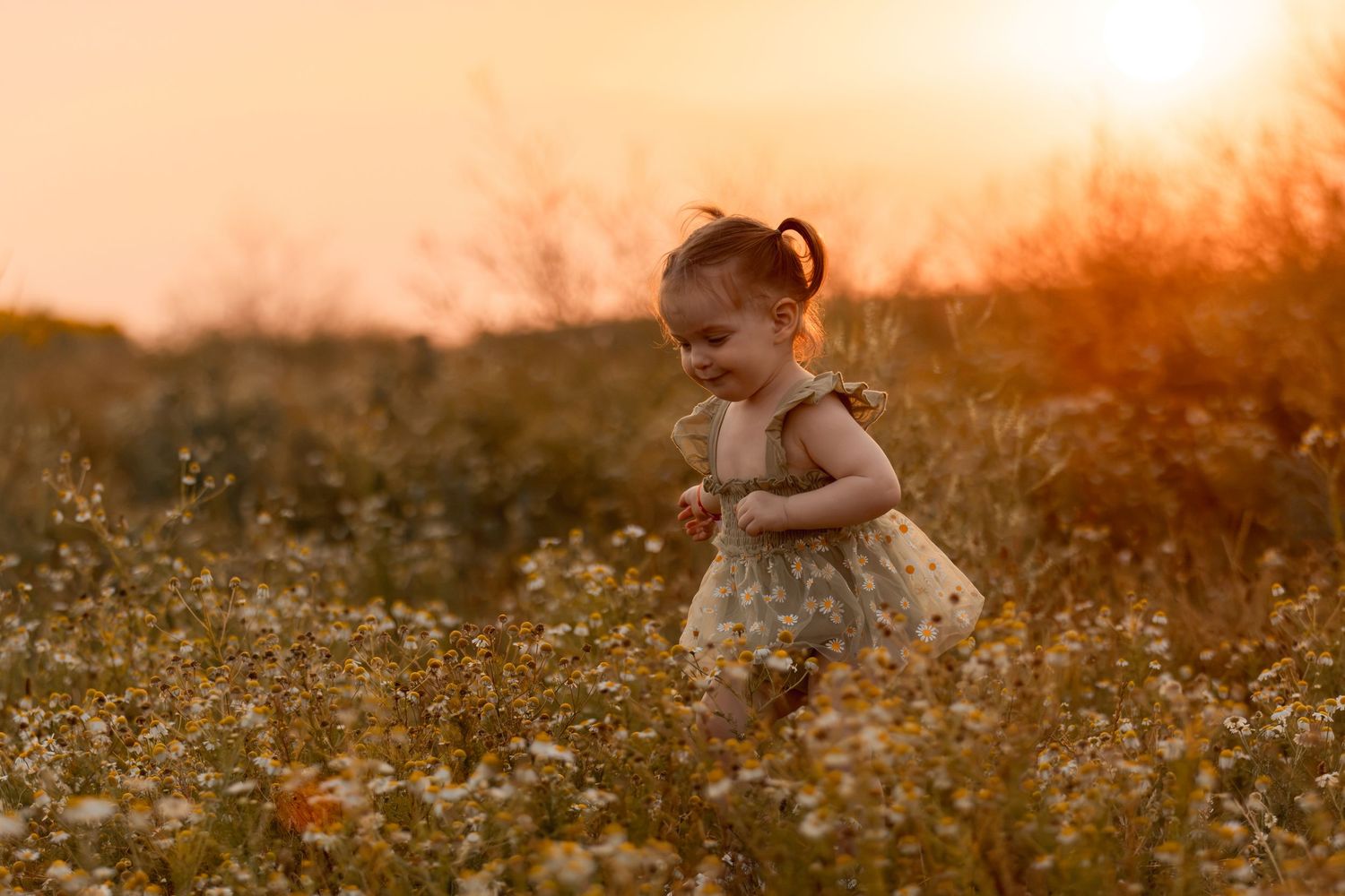 A toddler girl in a floral dress runs through a wildflower field at golden sunset.