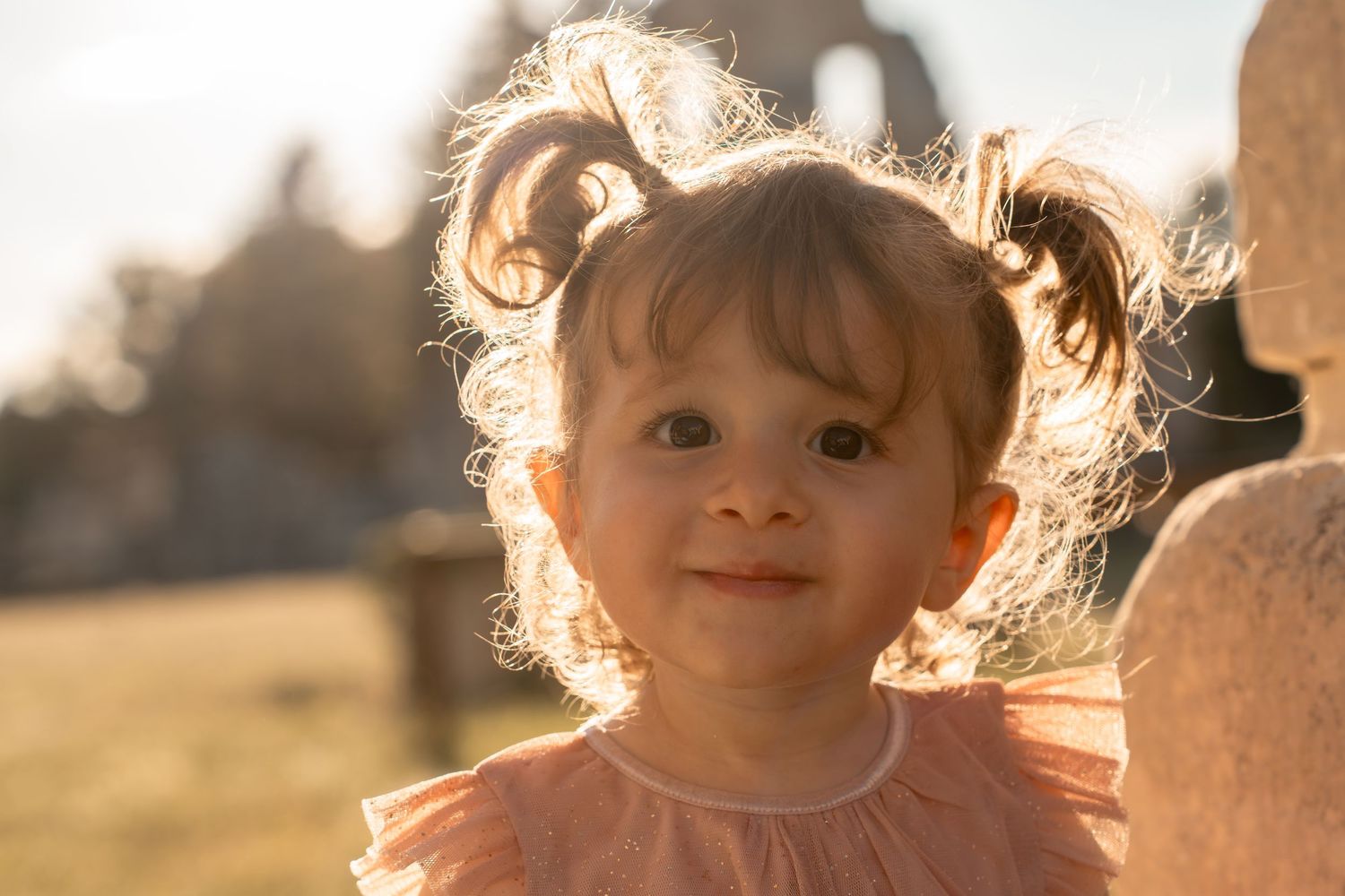 Close-up portrait of an adorable toddler girl with pigtails in a pink dress, smiling softly in golden sunlight.