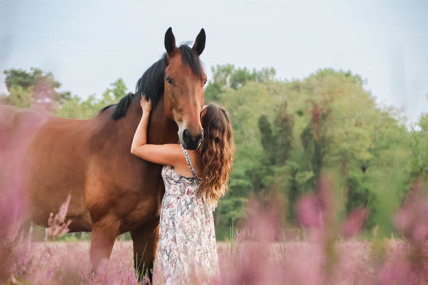 Séance lifestyle — jeune femme en robe fleurie face à son cheval brun dans les bruyères, photographe Aisne Guignicourt.