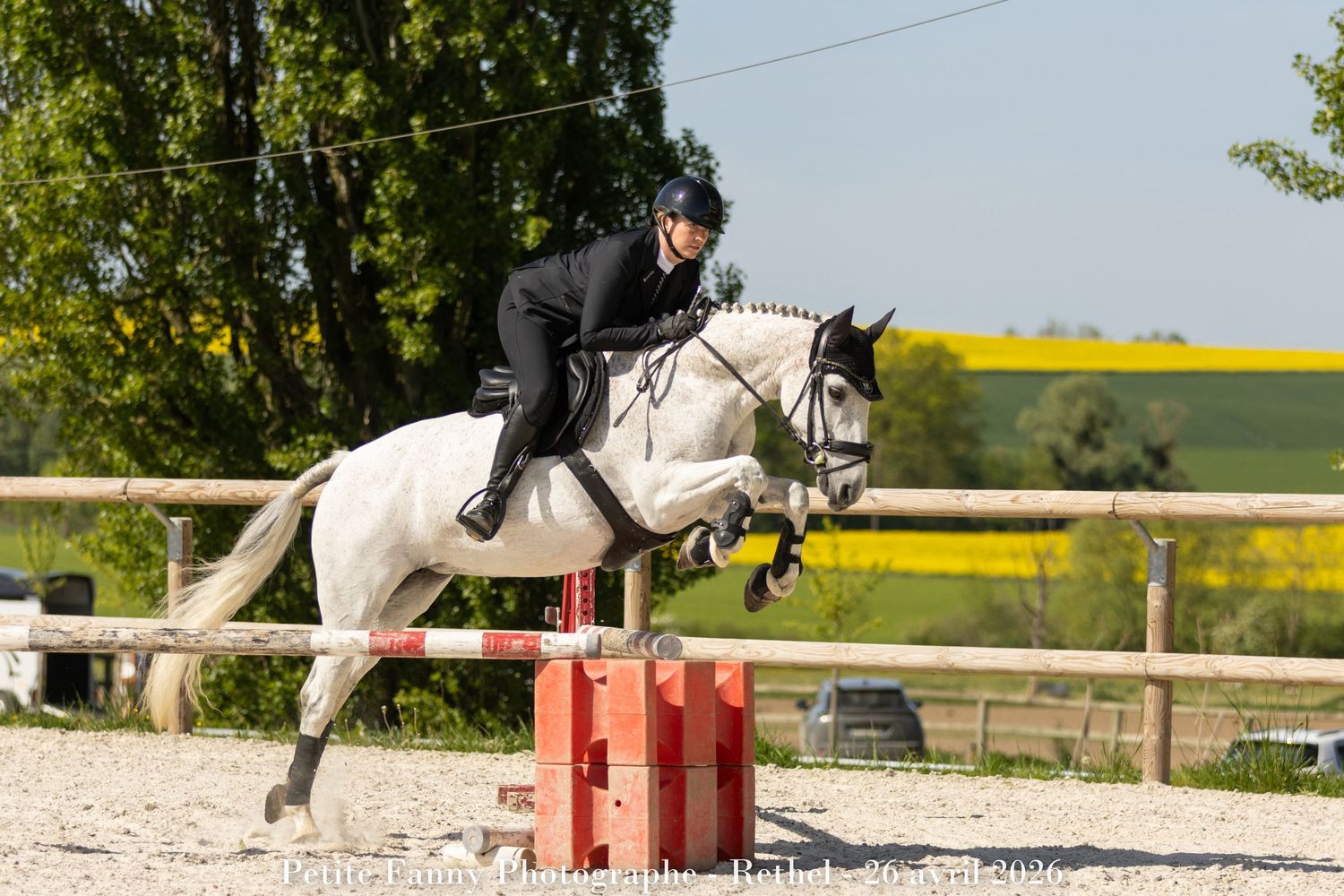 A rider in black attire jumps a gray horse over a red obstacle in an outdoor equestrian show jumping arena.