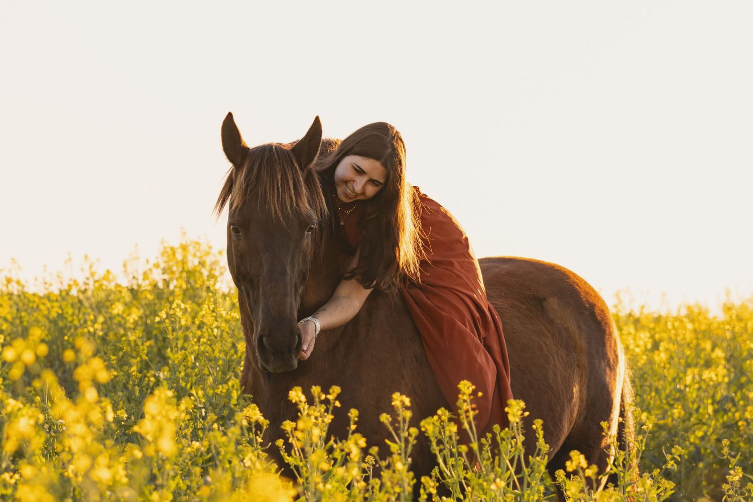 Woman in red dress embracing brown horse in golden rapeseed field during sunset.
