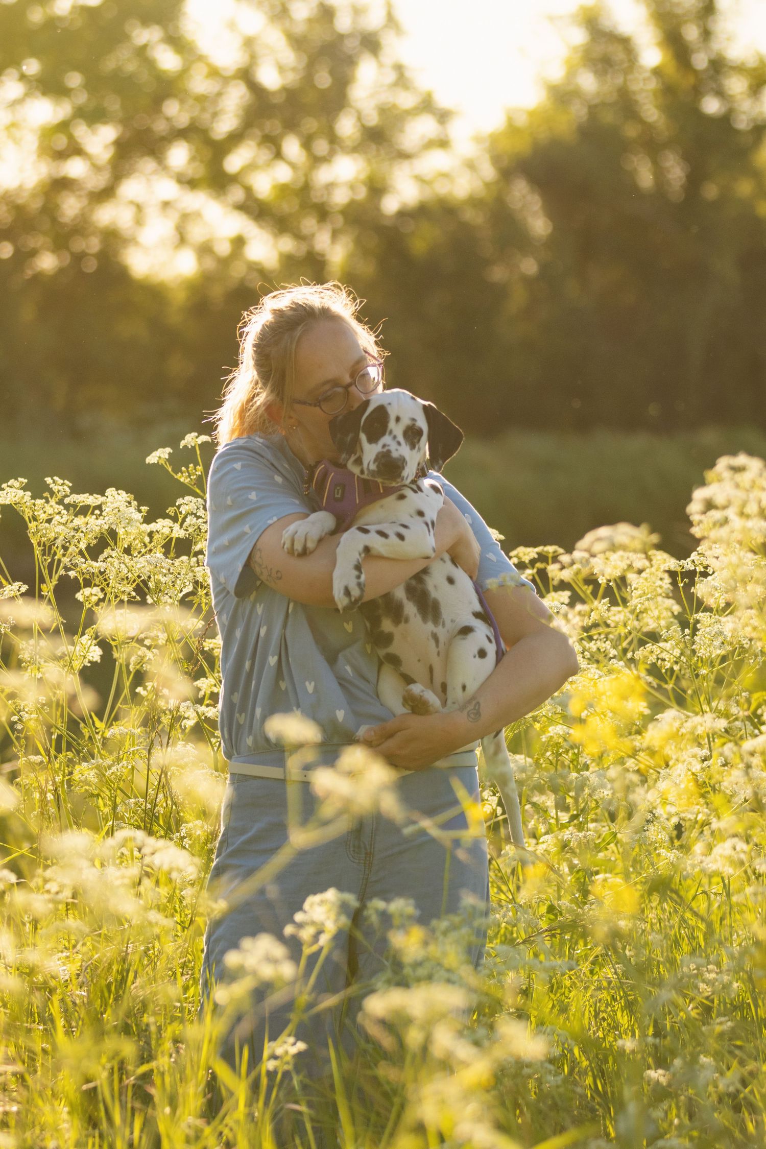 Woman holding a Dalmatian puppy in a sunny wildflower meadow, sharing a tender moment in golden afternoon light.