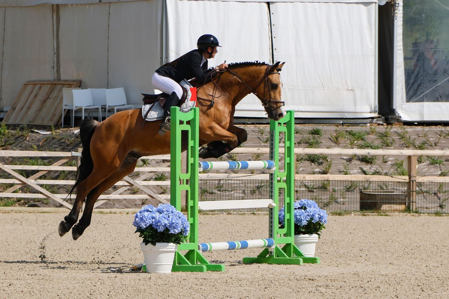 Concours de saut d'obstacle