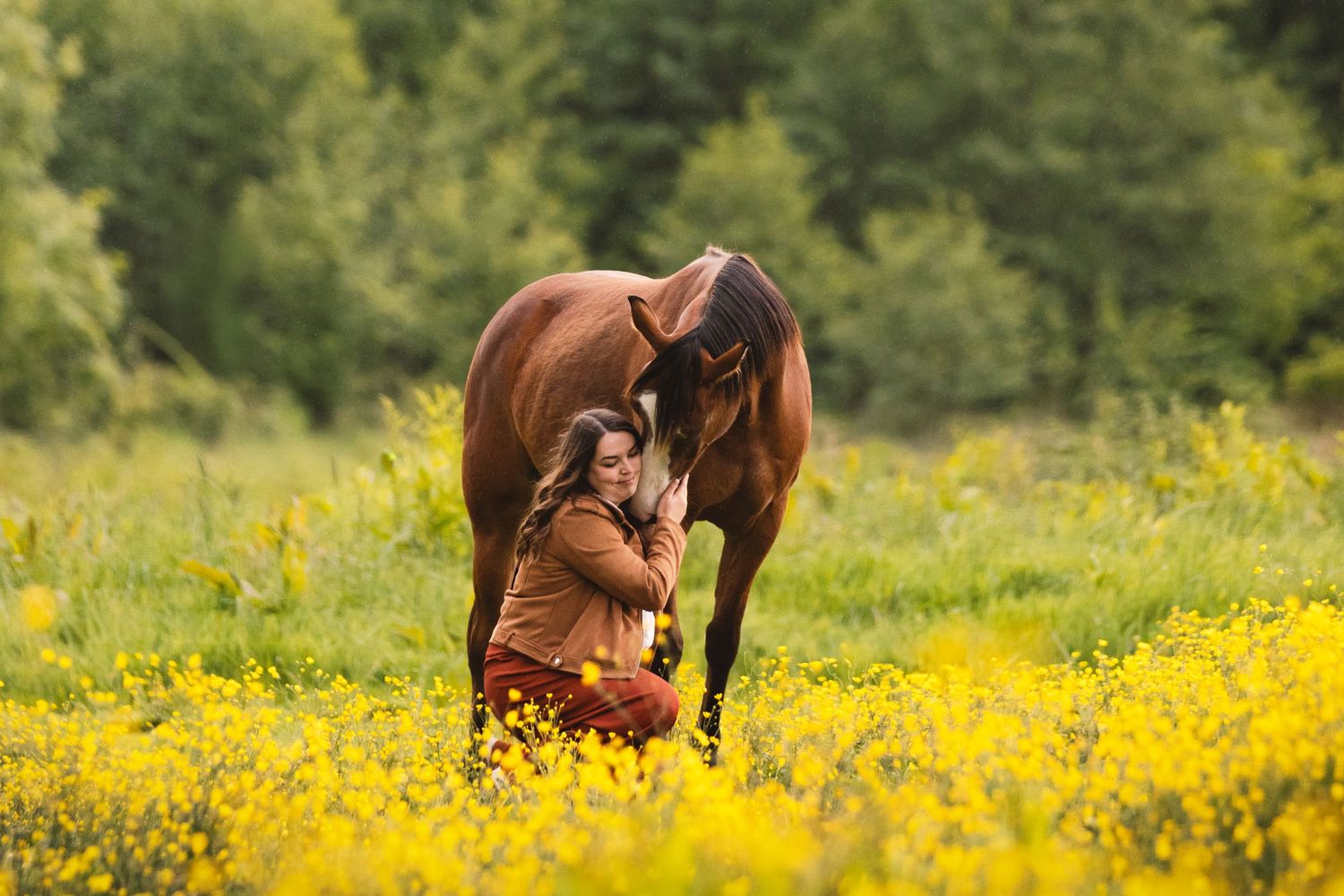 Woman sitting in yellow flower field embracing a brown horse, surrounded by lush green trees.