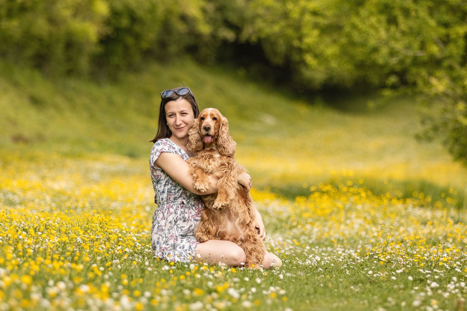 Woman in floral dress hugging a golden Cocker Spaniel in a sunny meadow filled with yellow wildflowers.