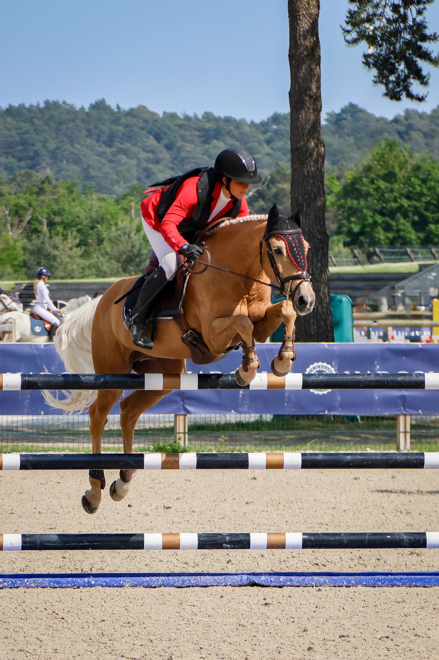 Concours de saut d'obstacle