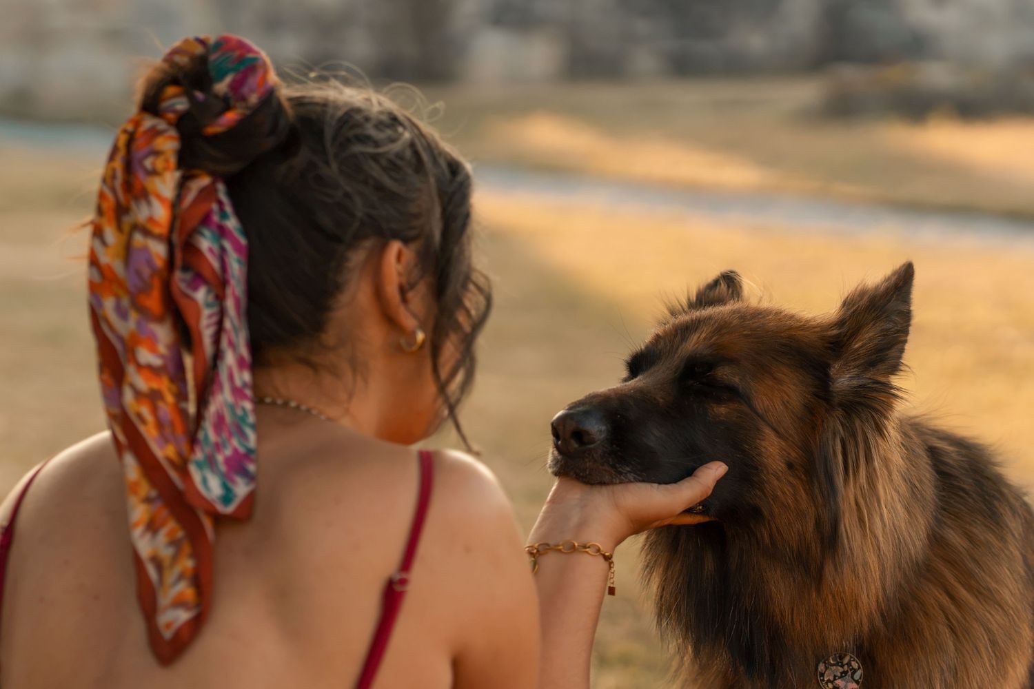 A woman with a colorful hair scarf gently holds the face of a fluffy German Shepherd dog outdoors.