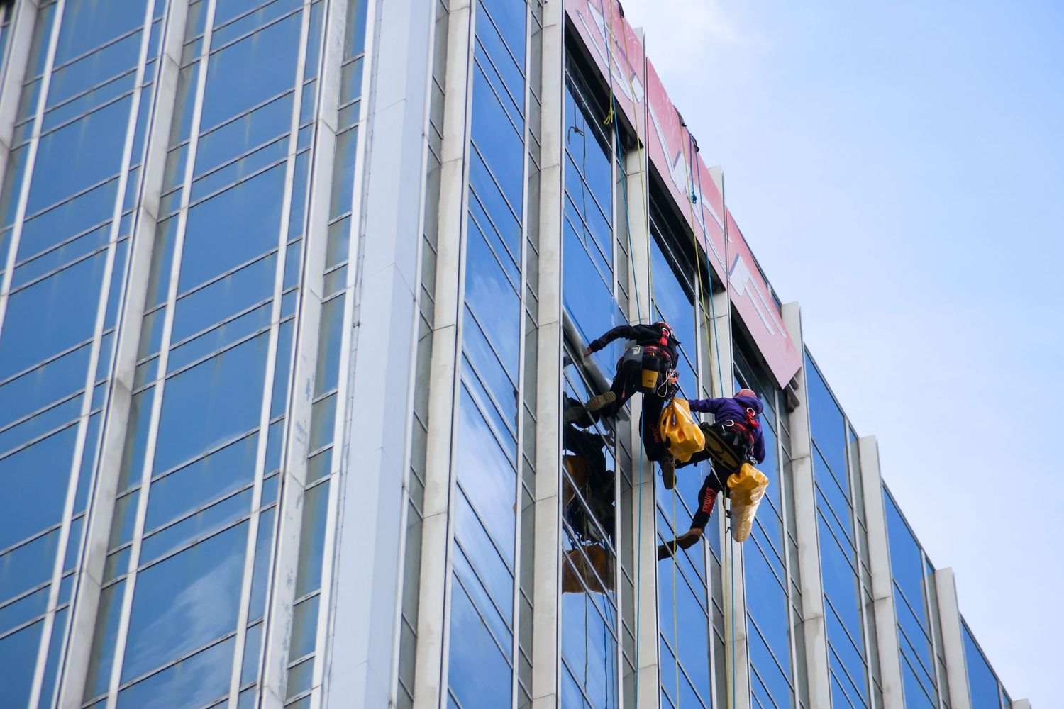 Window washers rappelling down a modern glass skyscraper facade against a clear blue sky.