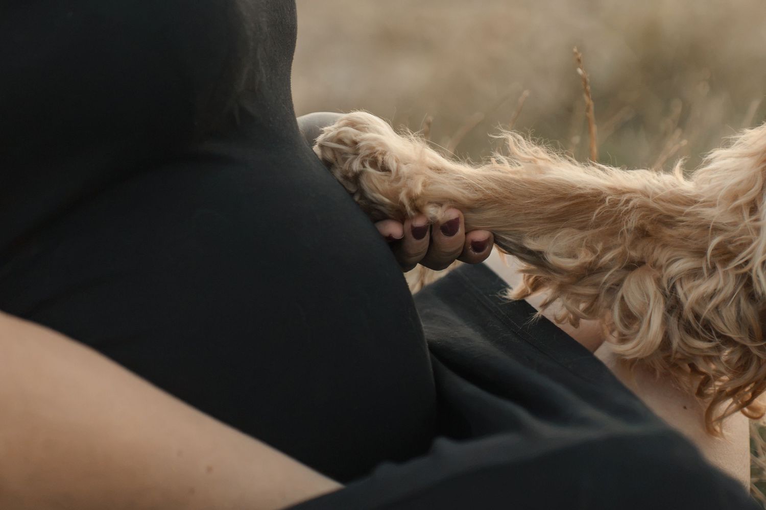 A person with blonde curly hair resting against someone in black clothing outdoors in a natural setting.