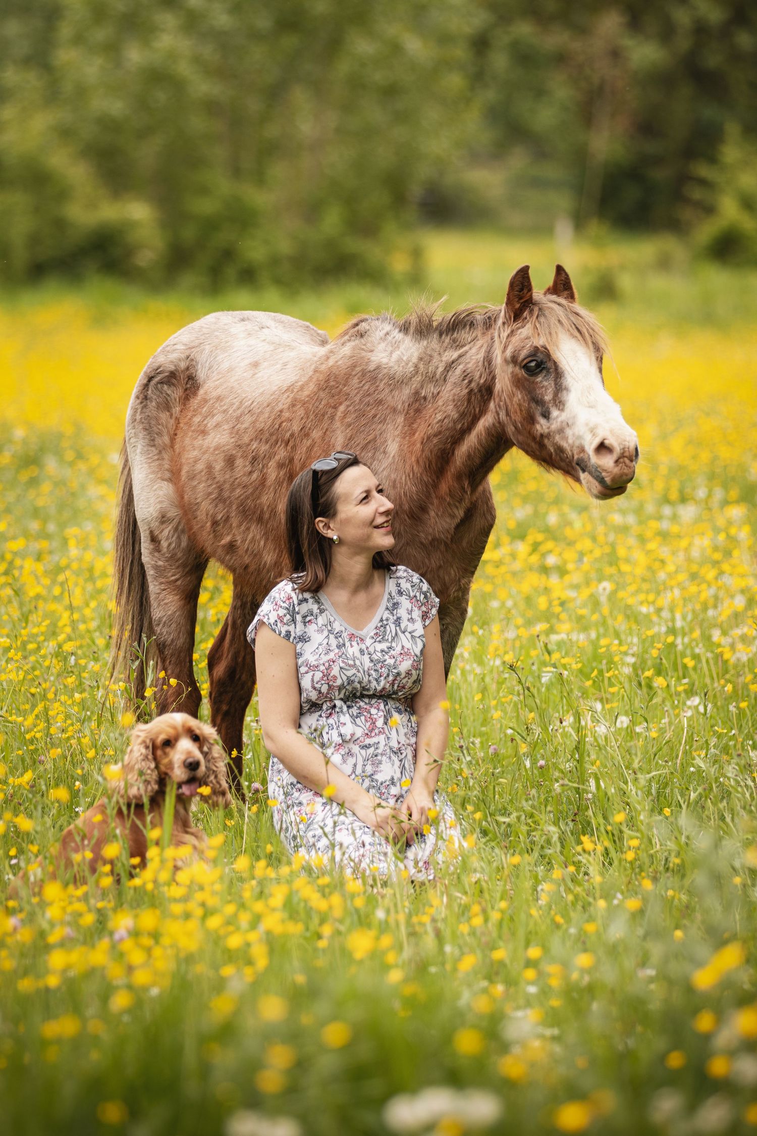 Woman in floral dress sitting in yellow wildflower meadow with a brown horse and red spaniel dog.