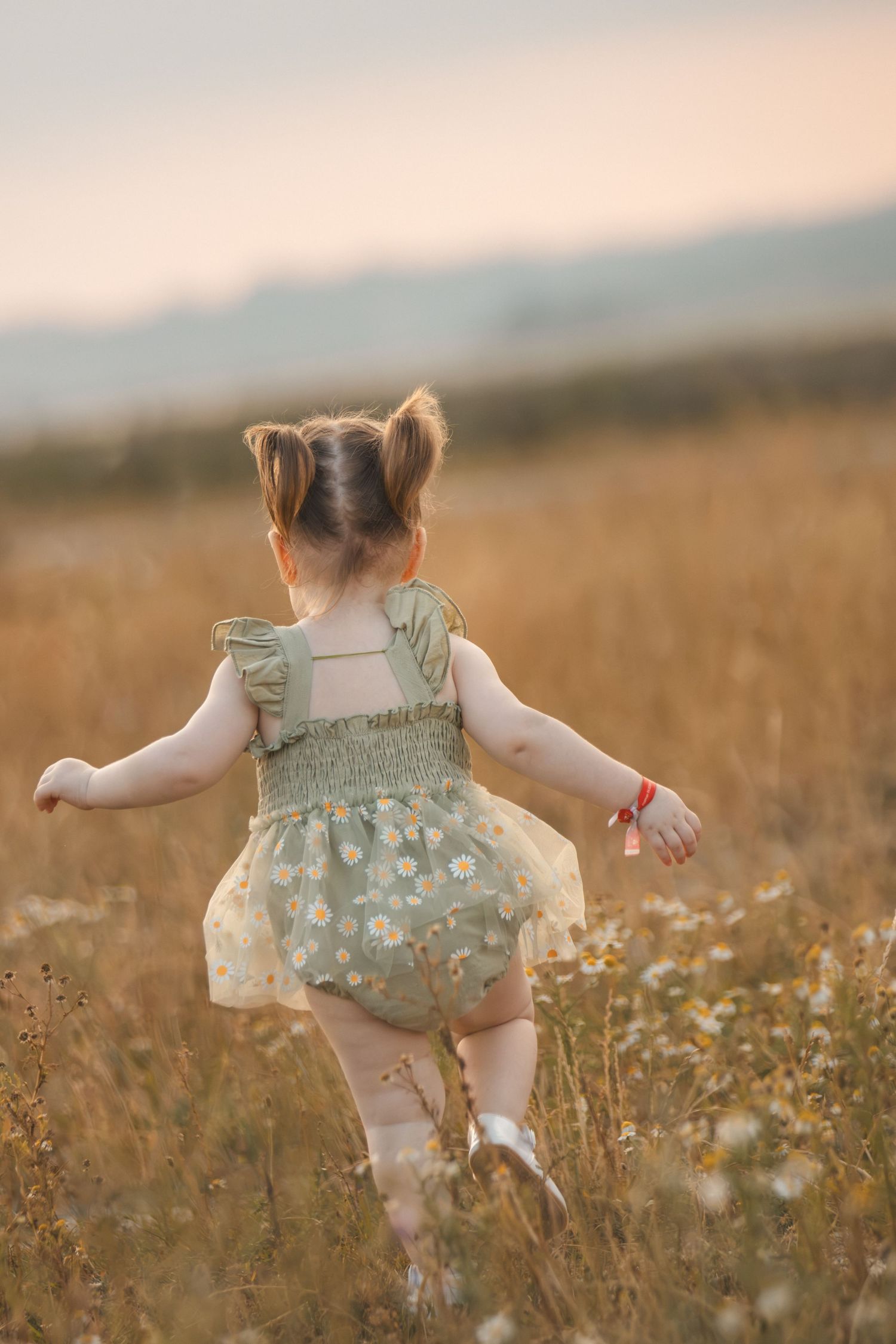 Toddler girl in floral romper running through golden meadow at sunset, seen from behind with pigtails.