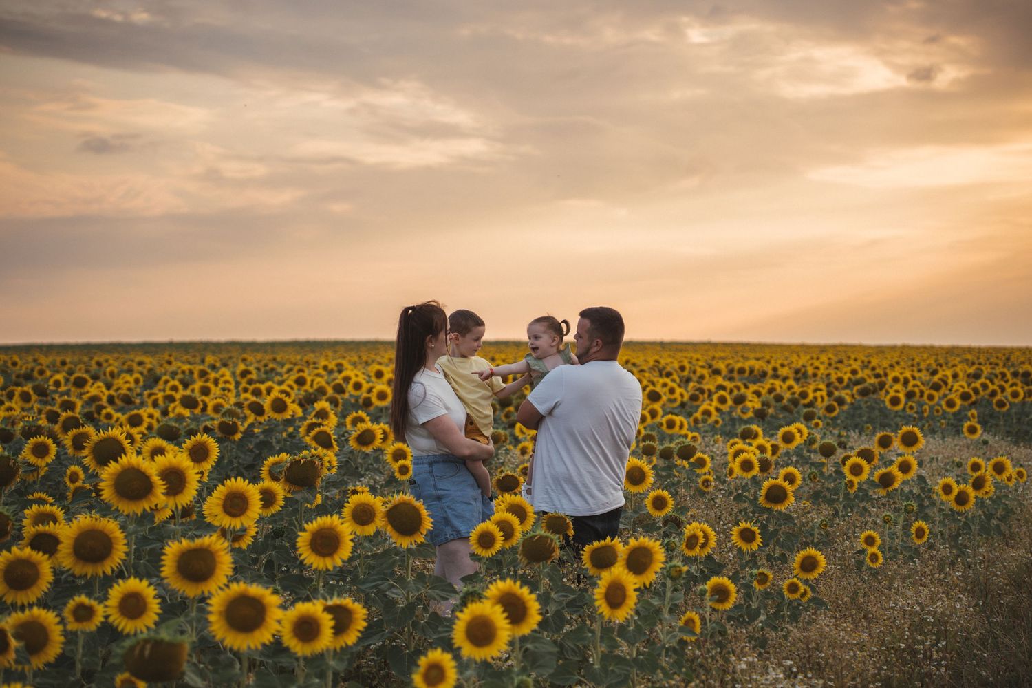 Family of four standing in a sunflower field at sunset, parents holding young children among golden blooms.