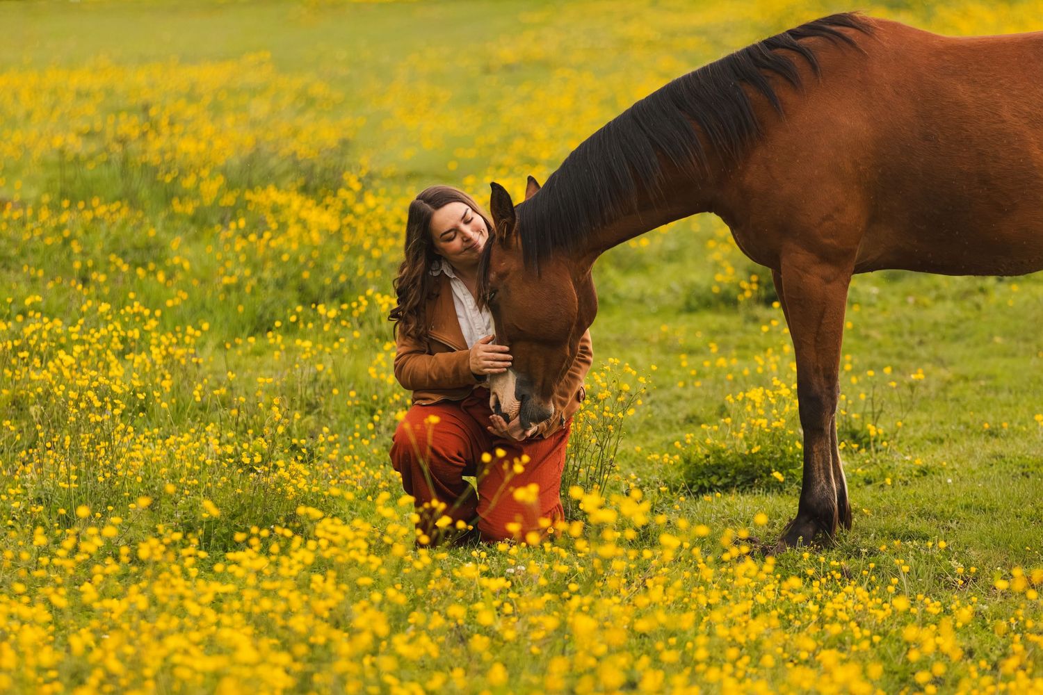 Woman kneeling in yellow flower field hugging a brown horse on a sunny day.