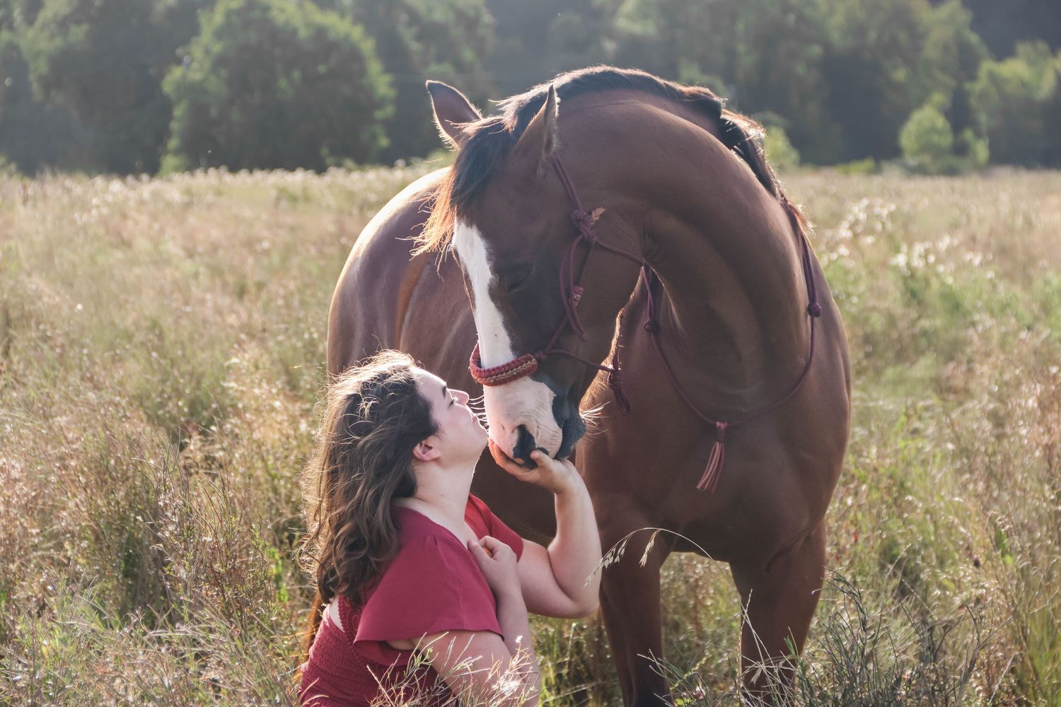 Séance cheval lifestyle — femme agenouillée embrassant tendrement le museau de son cheval alezan dans un champ, photographe Laon Aisne.
