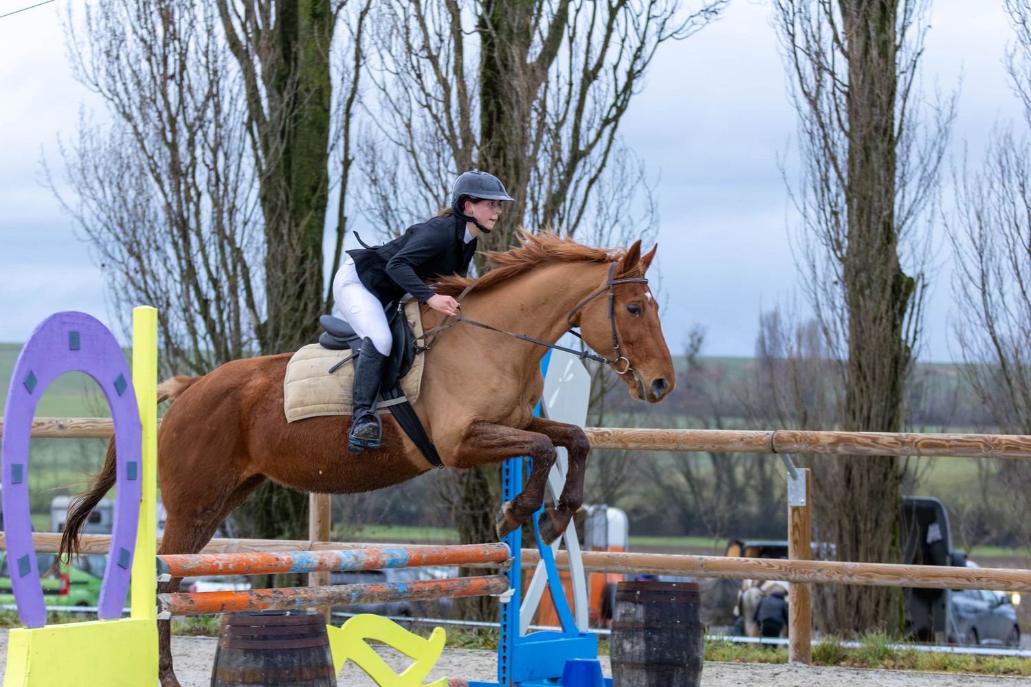 Concours de saut d'obstacle