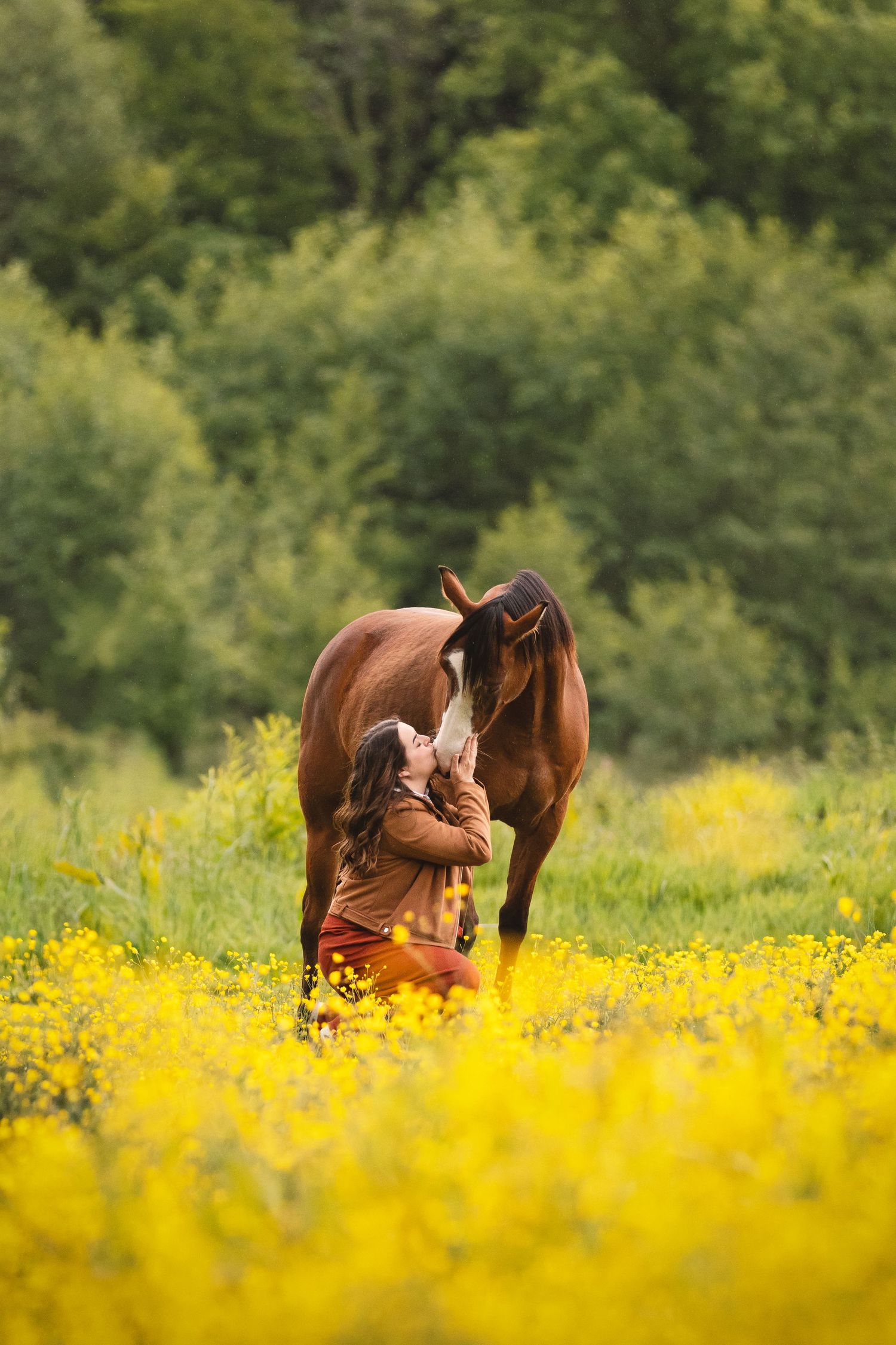 Woman kneeling in yellow wildflower meadow embracing a bay horse with green trees behind.