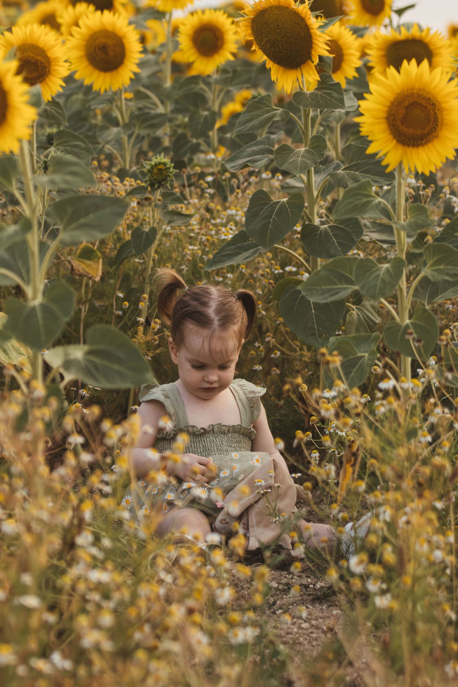Toddler girl in green dress sitting among tall sunflowers and daisies in a sunny field.