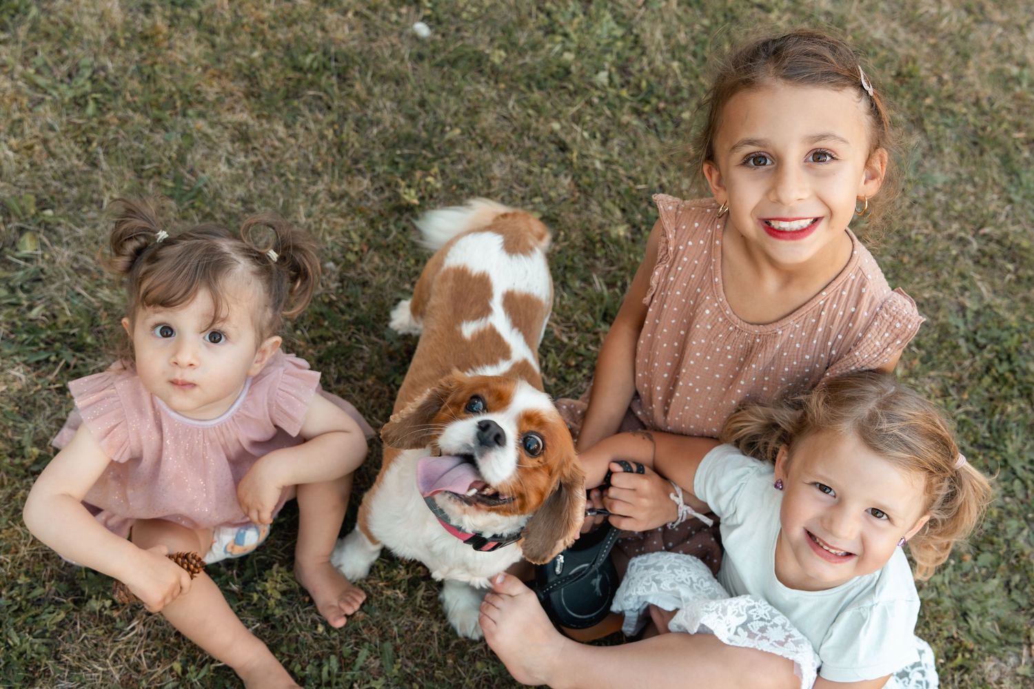 Three young girls sitting on grass outdoors with a Cavalier King Charles Spaniel dog, smiling happily at the camera.