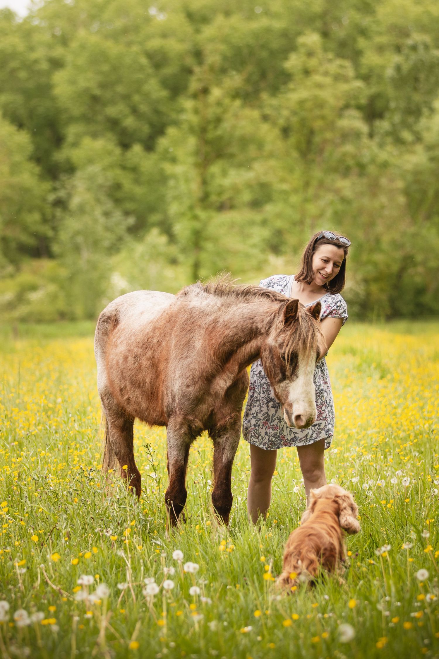 Young woman in floral dress smiling with a brown pony and golden dog in a sunny wildflower meadow.