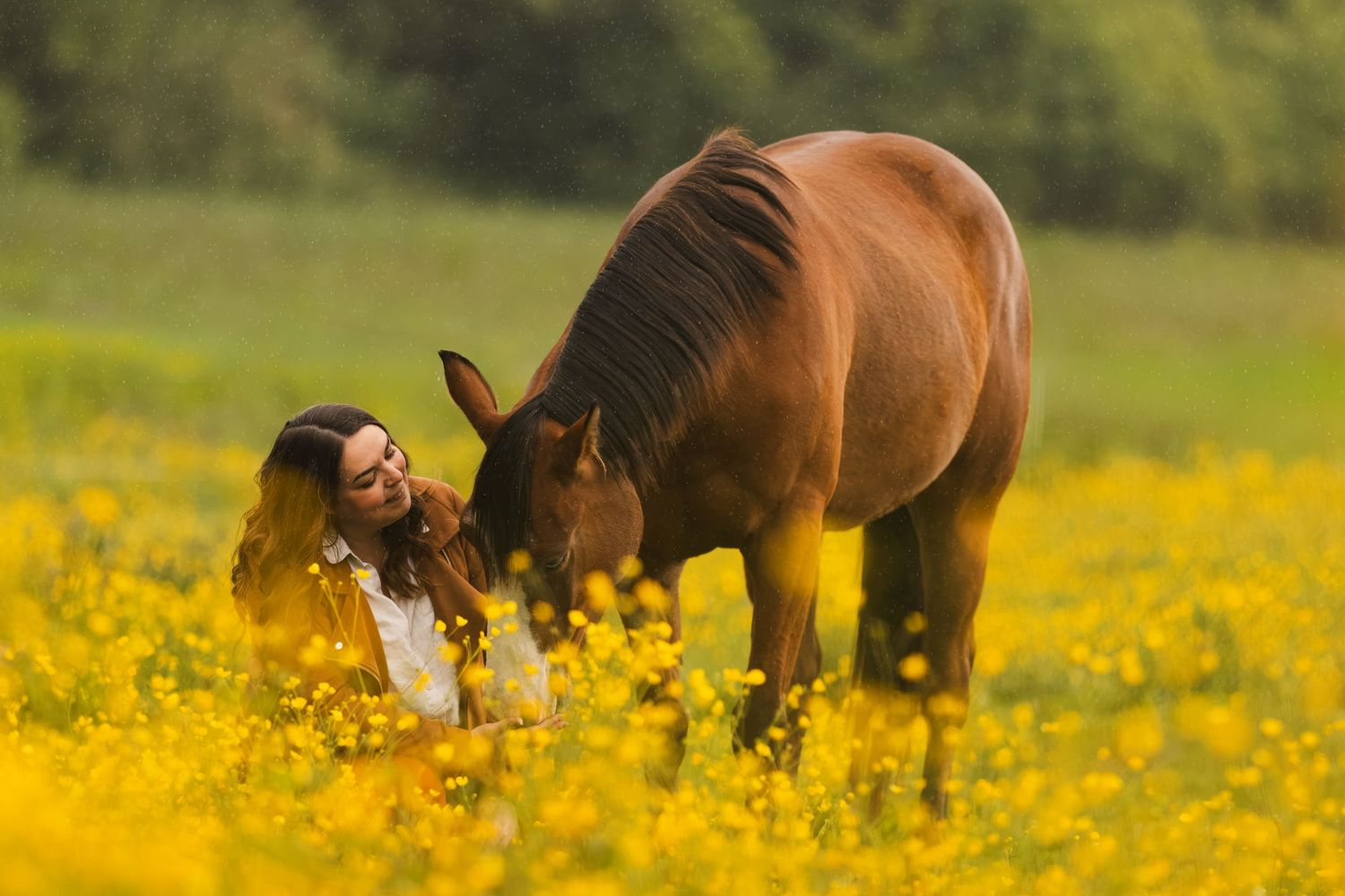 A young woman in a white dress interacts with a brown horse in a vibrant yellow wildflower field.