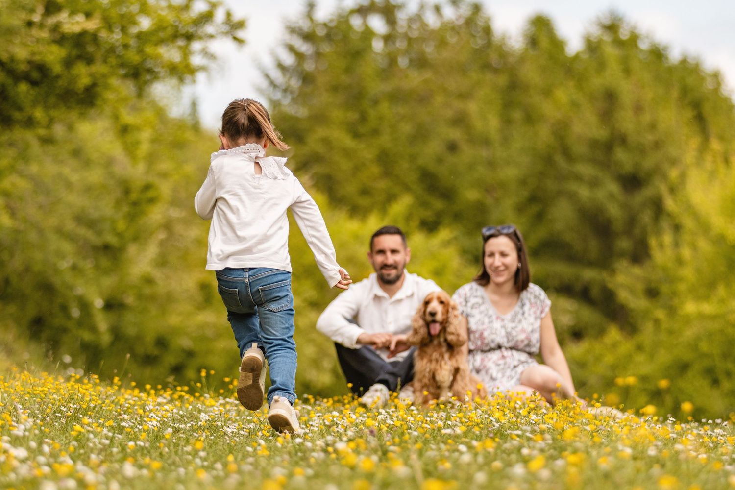 Family with golden cocker spaniel sitting in sunny wildflower meadow while young girl runs toward them.