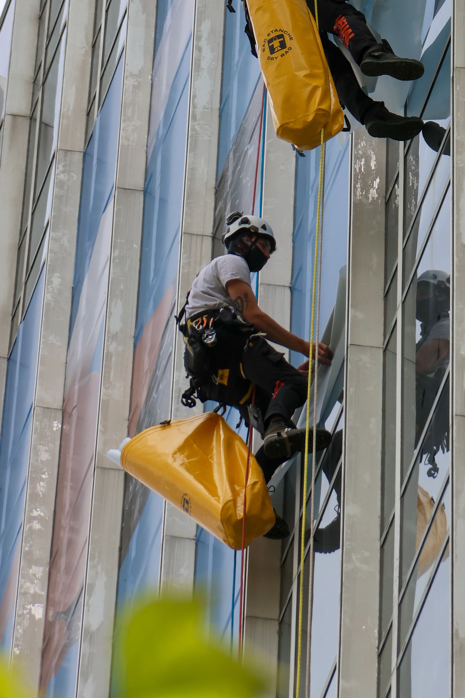 Window cleaners rappelling down a glass skyscraper facade using ropes and harnesses with yellow equipment bags.