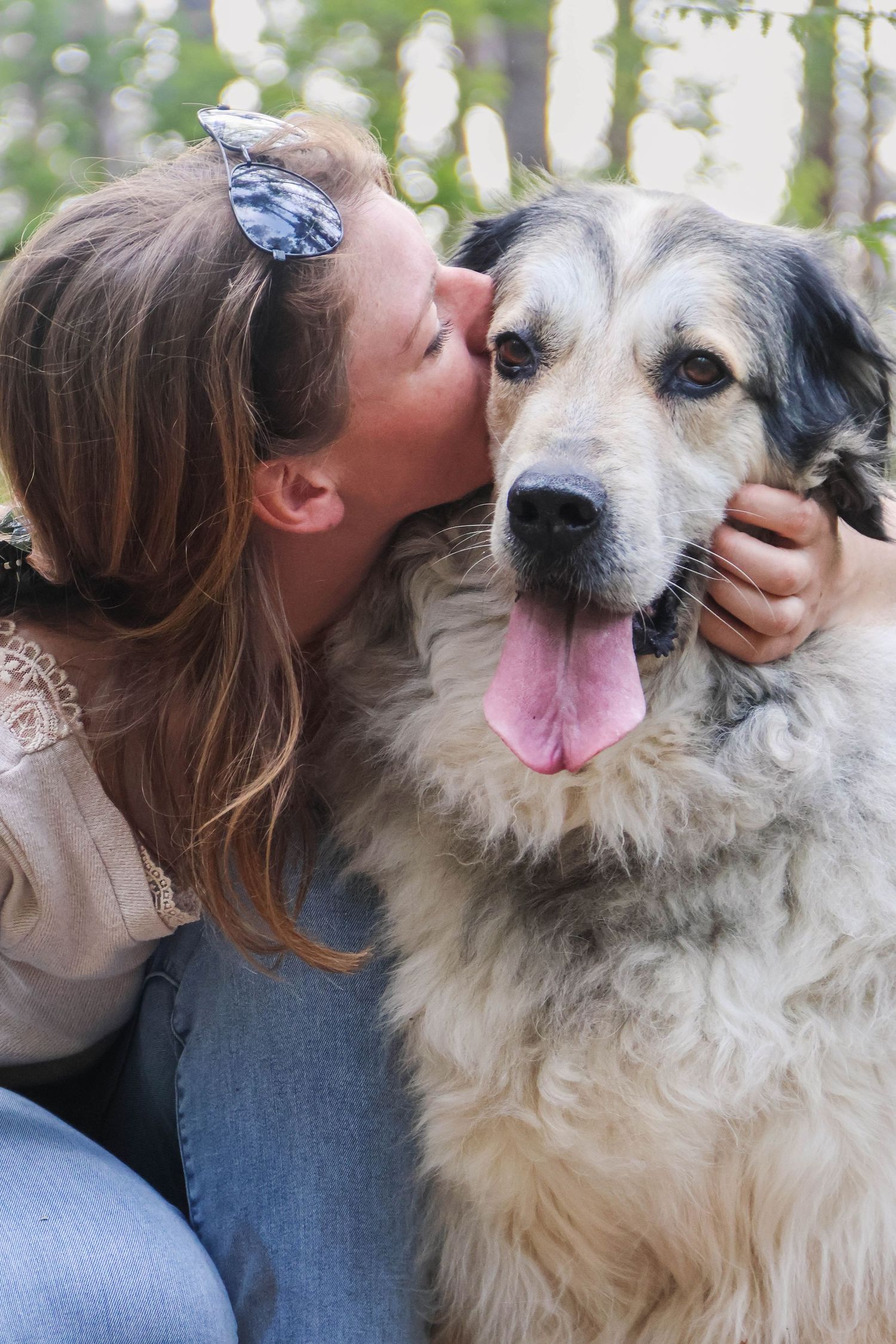 Séance chien lifestyle — femme embrassant affectueusement son grand chien gris et blanc en extérieur, photographe Reims Marne.