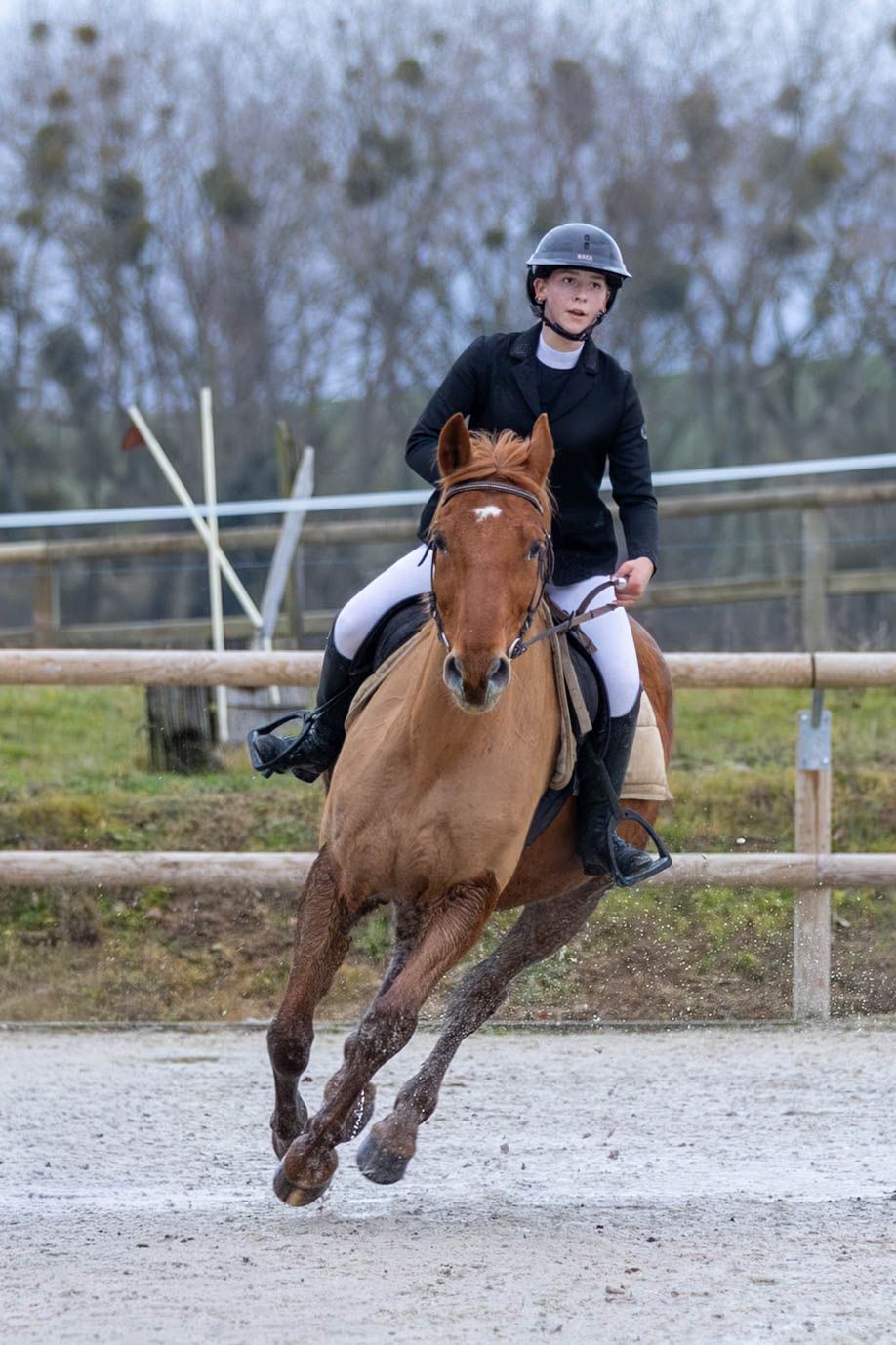 Concours de saut d'obstacle