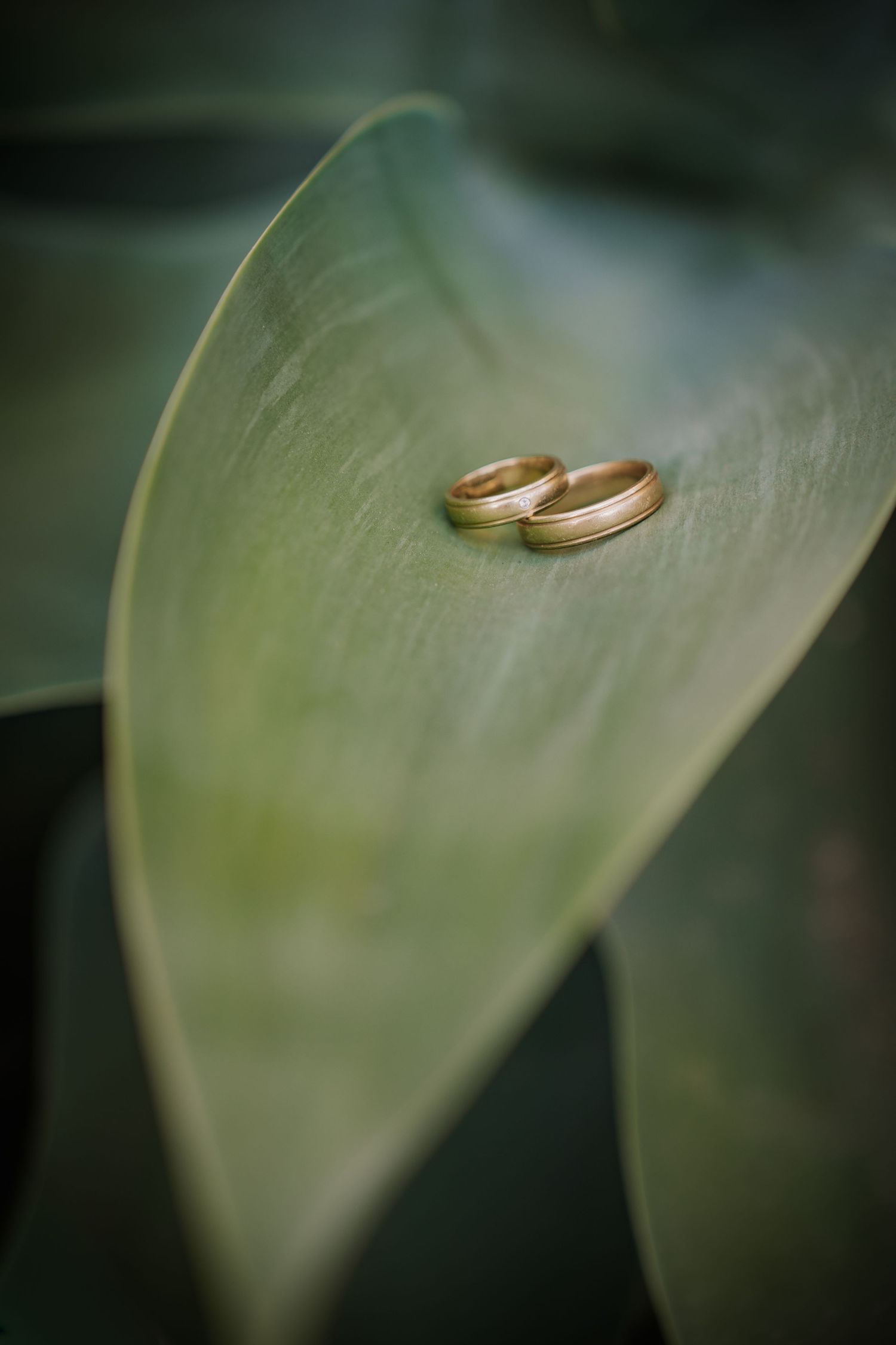 Hochzeitsfotograf Heilbronn,Stuttgart. roots & wander  Fotografie. Standesamt Fotografie. Hochzeitsbilder Stuttgart,Heilbronn. Ronja Warresz