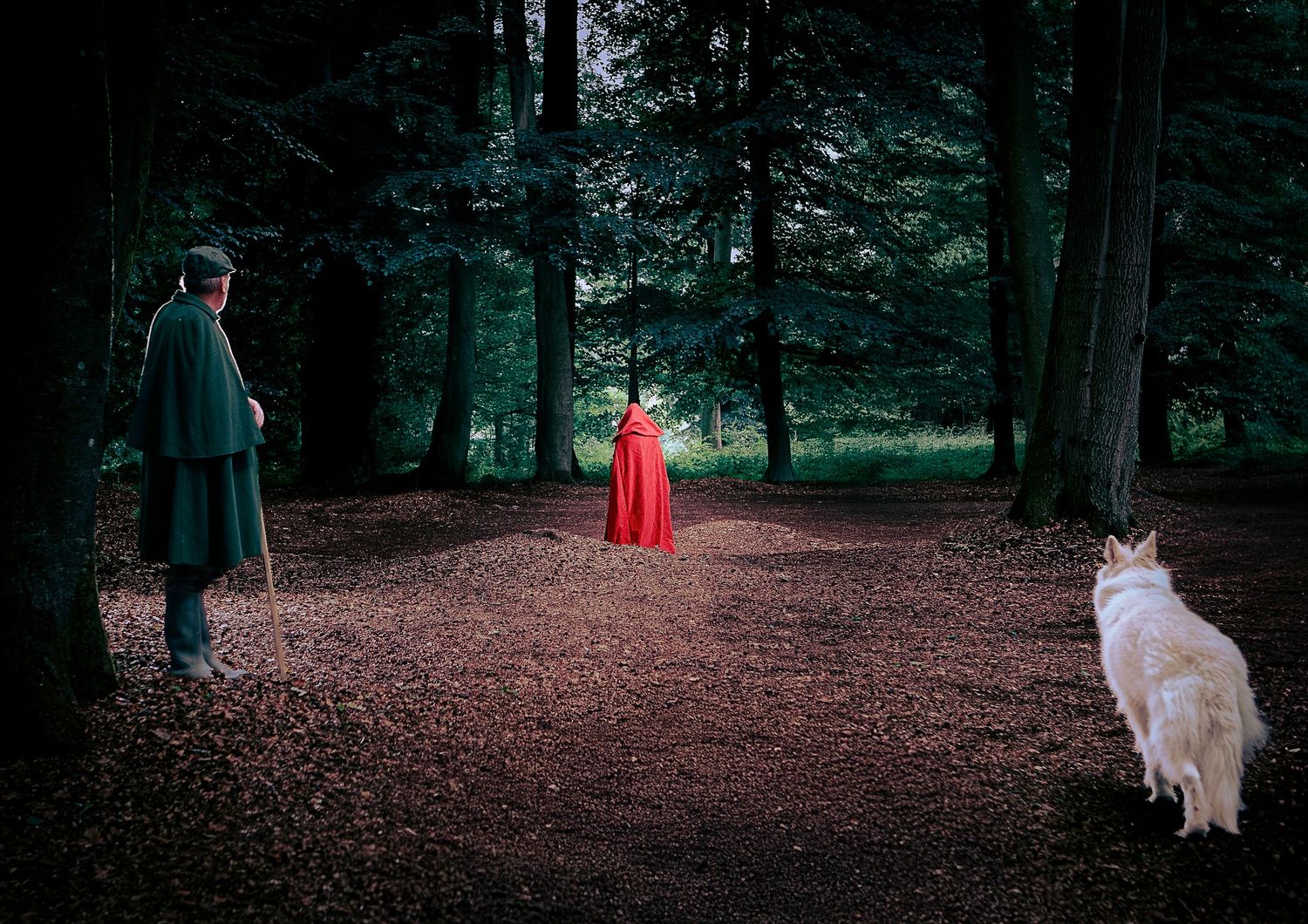 Une scène de forêt dramatique avec des personnages vêtus de rouge et un chien blanc créant une atmosphère de conte de fées.