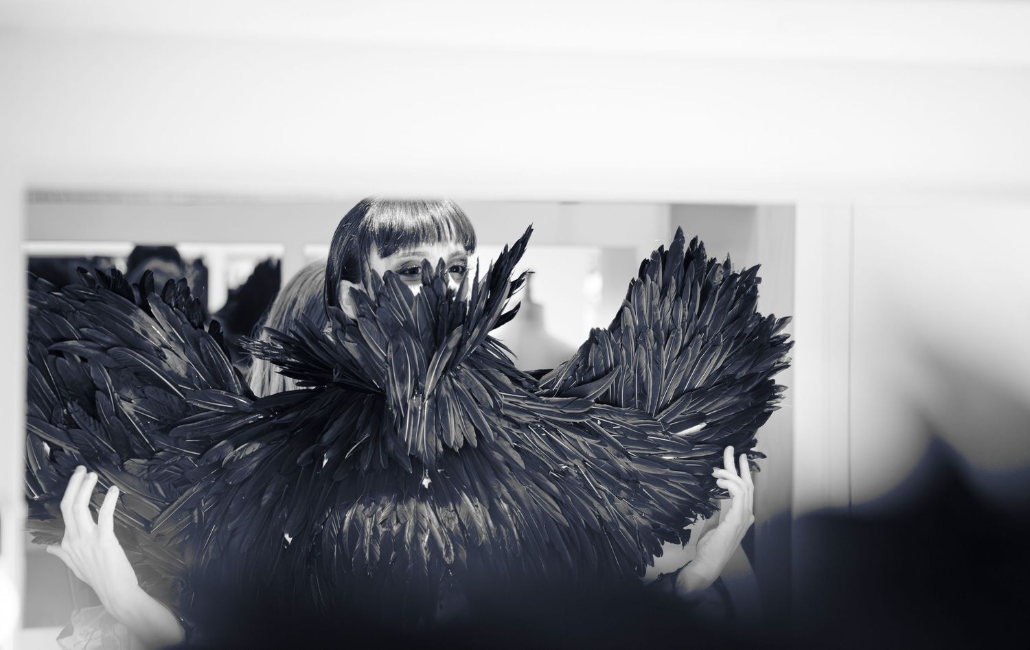 Plumes sombres créant un motif abstrait sur un fond clair.