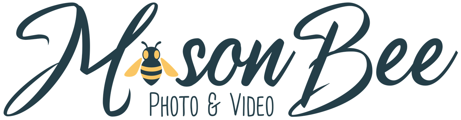 A minimalist bee logo design with cursive text reading 'Mason Bee Photo & Video' in dark blue color.
