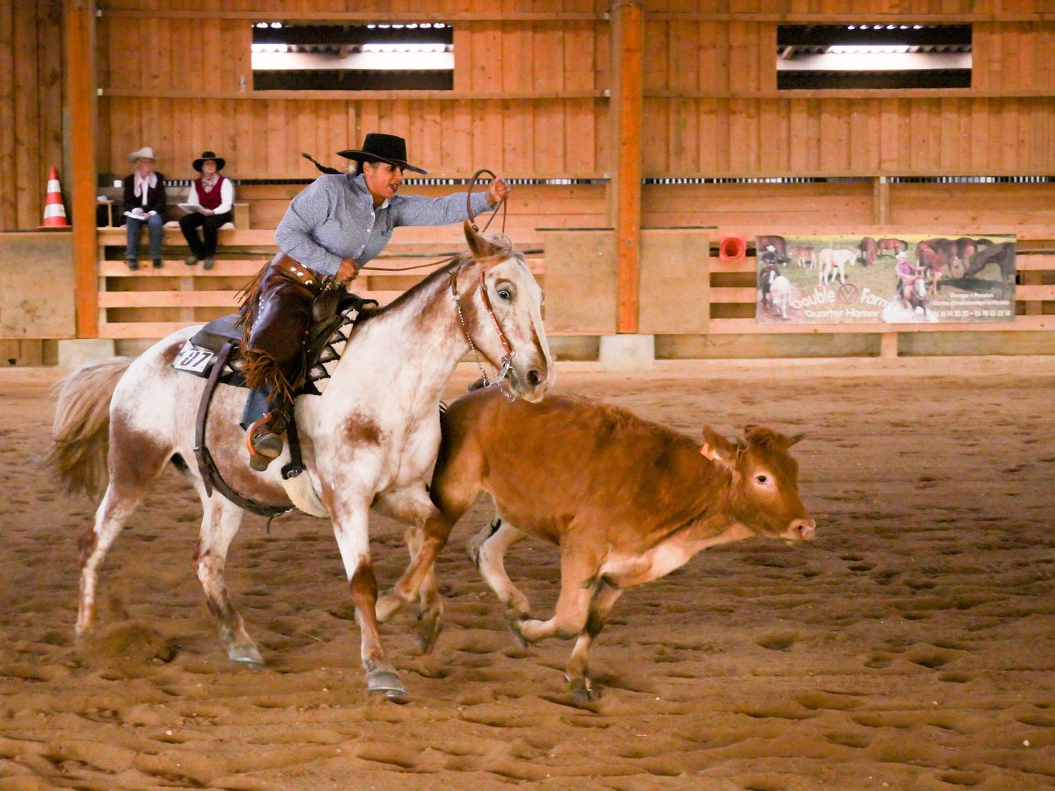 photo sportive, rodéo