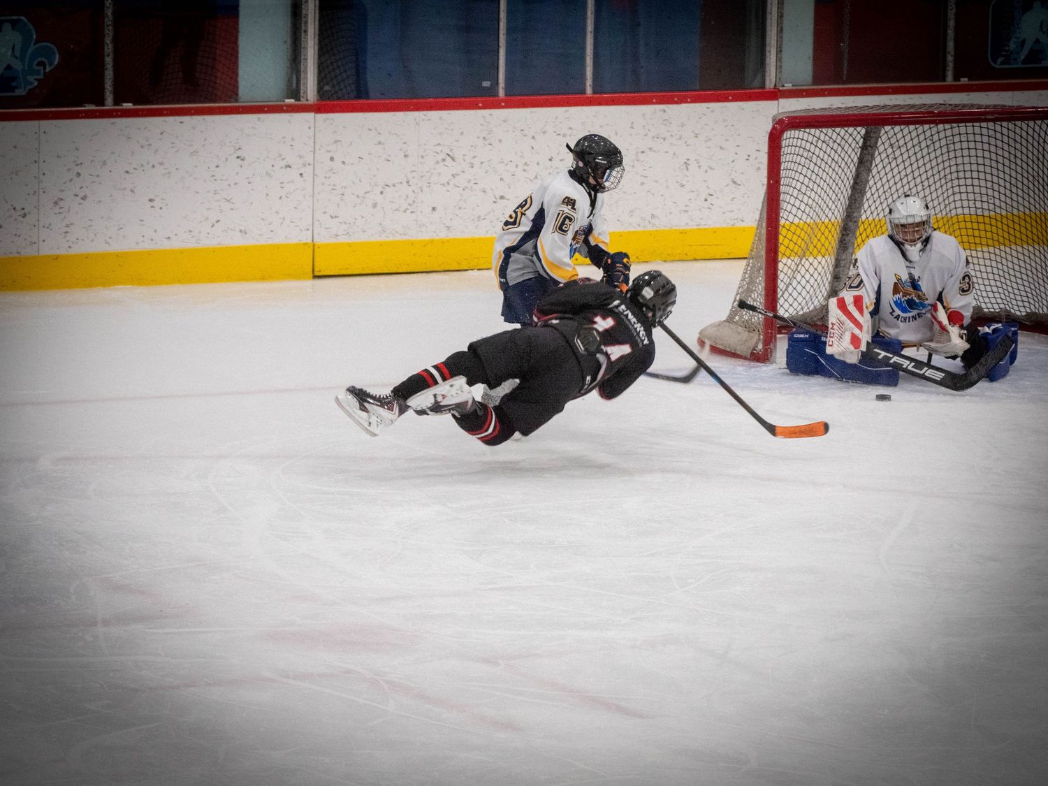 photo sportive, hockey