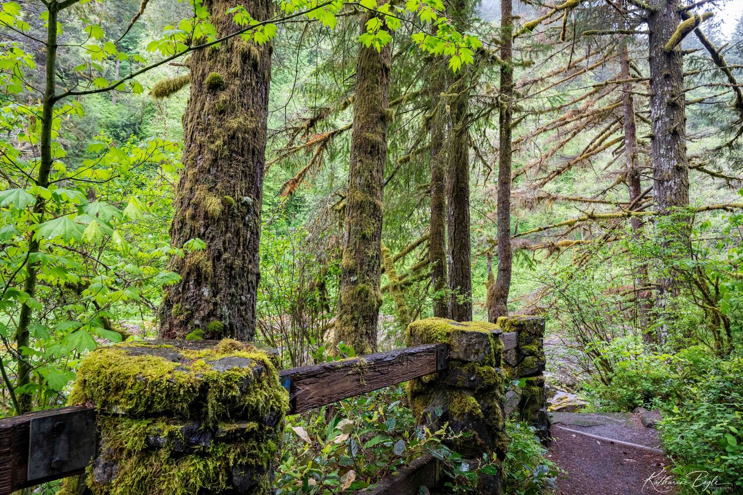 Moulton Falls, Yacolt WA